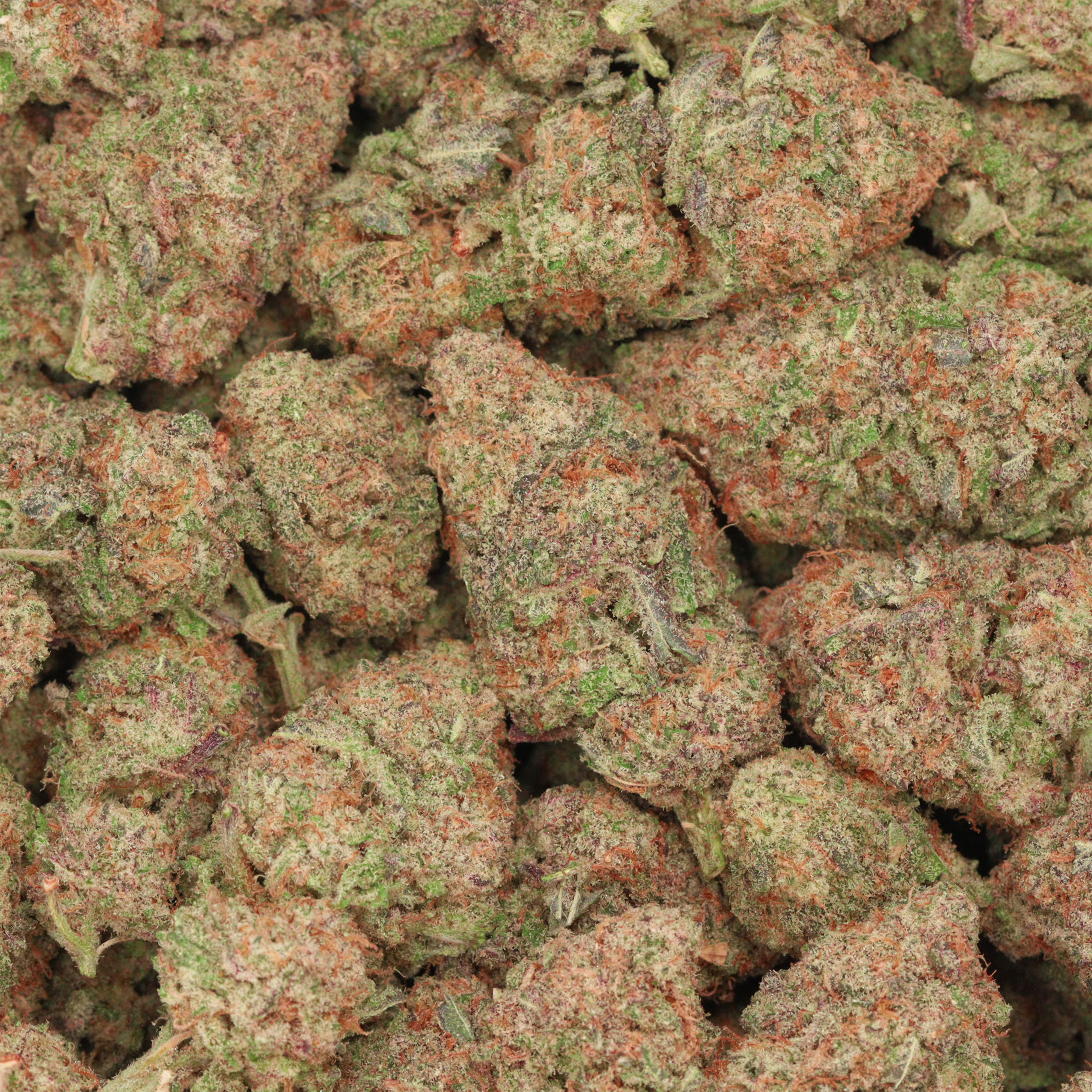 Return of the MAC - Image 3