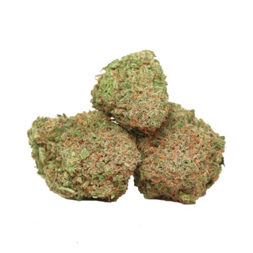 Tropicanna Banana strain