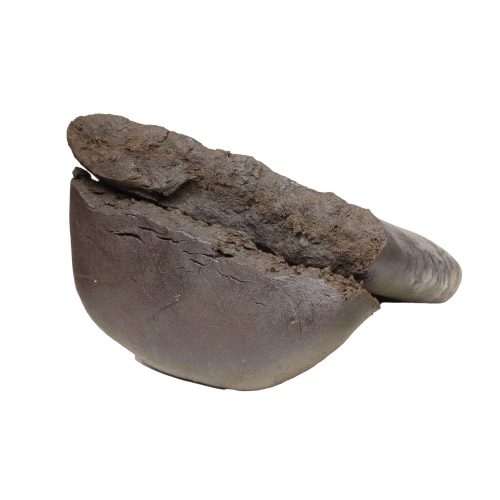 Kabul Gold Hash wholesale