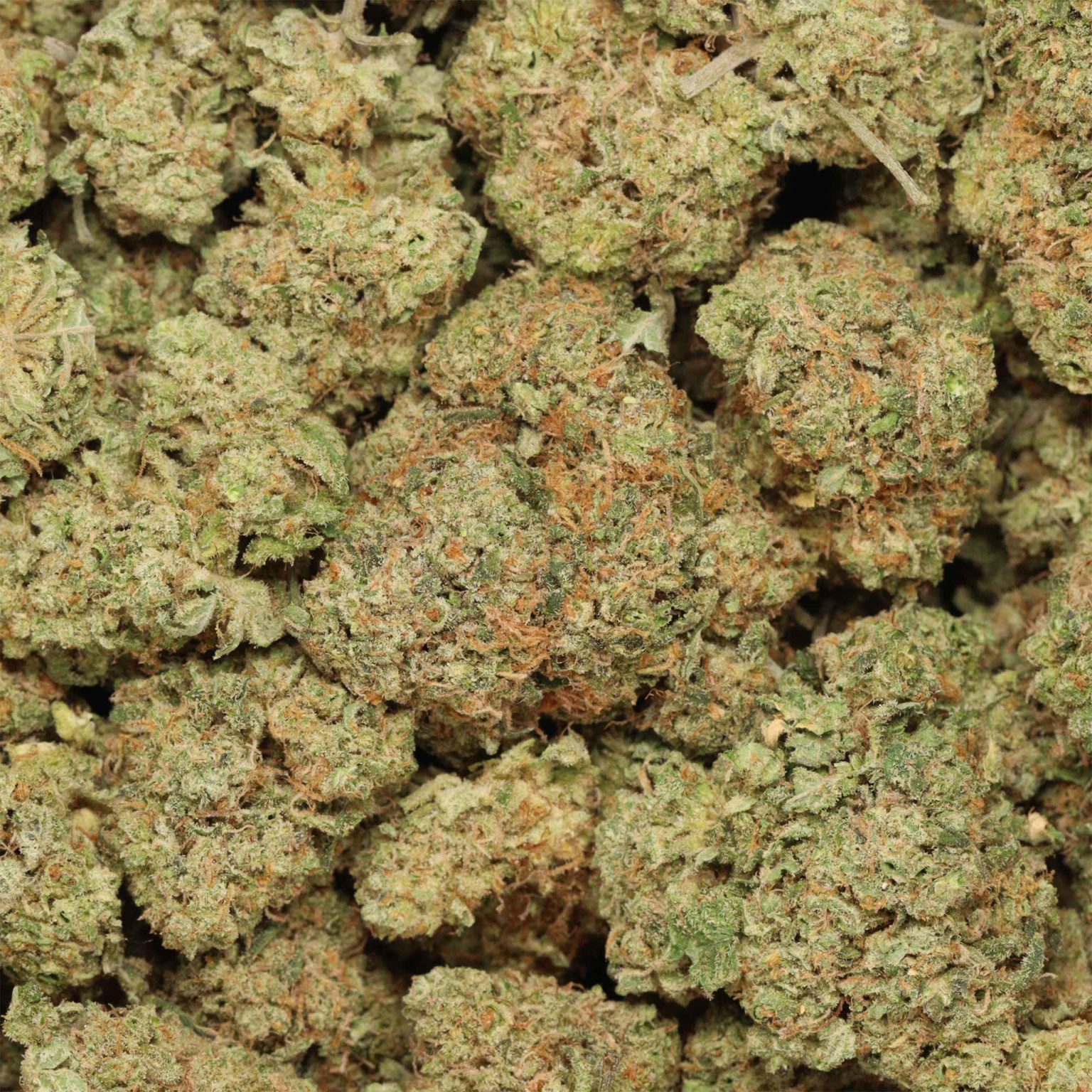 White Wedding Strain | Bulk Buddy Online Dispensary Canada White Wedding Strain | Bulk Buddy Online Dispensary Canada