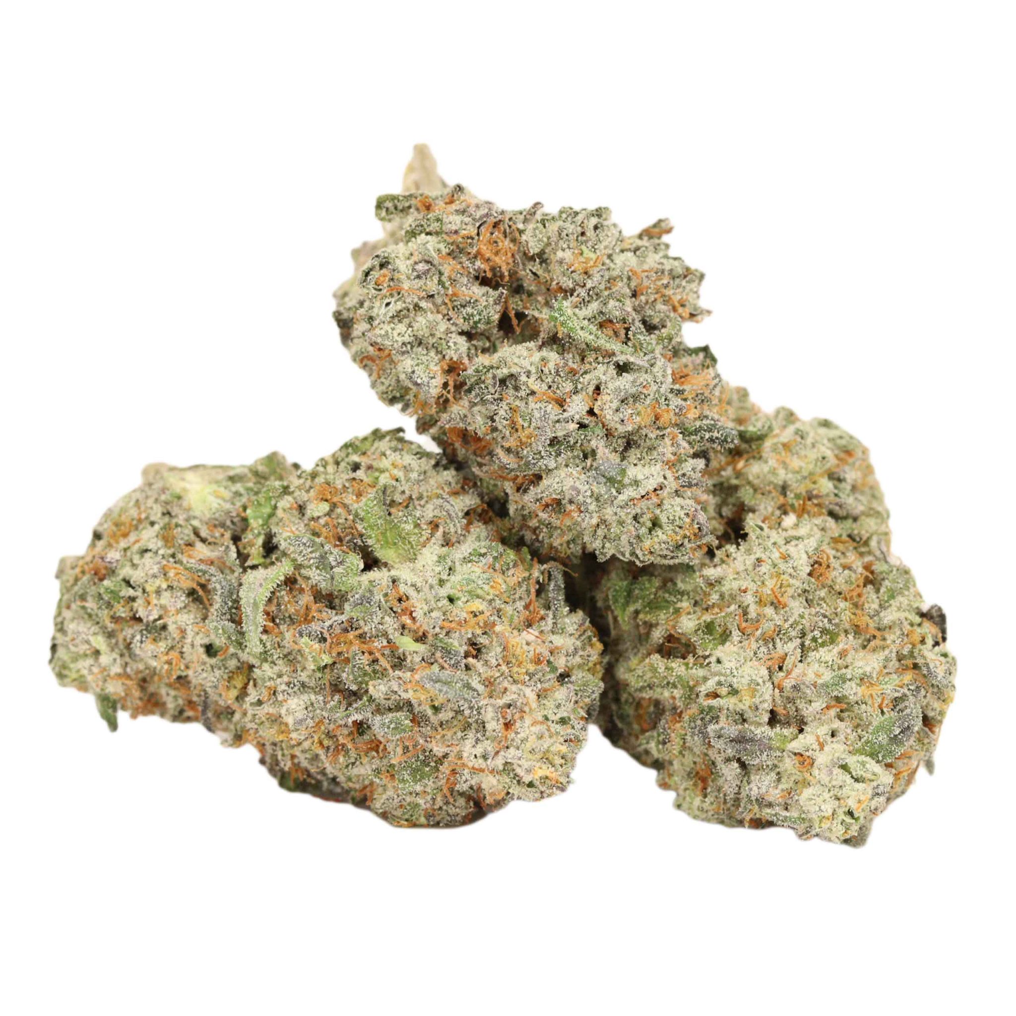 Tropicana Jet Fuel Strain Bulk Buddy Online Dispensary Canada