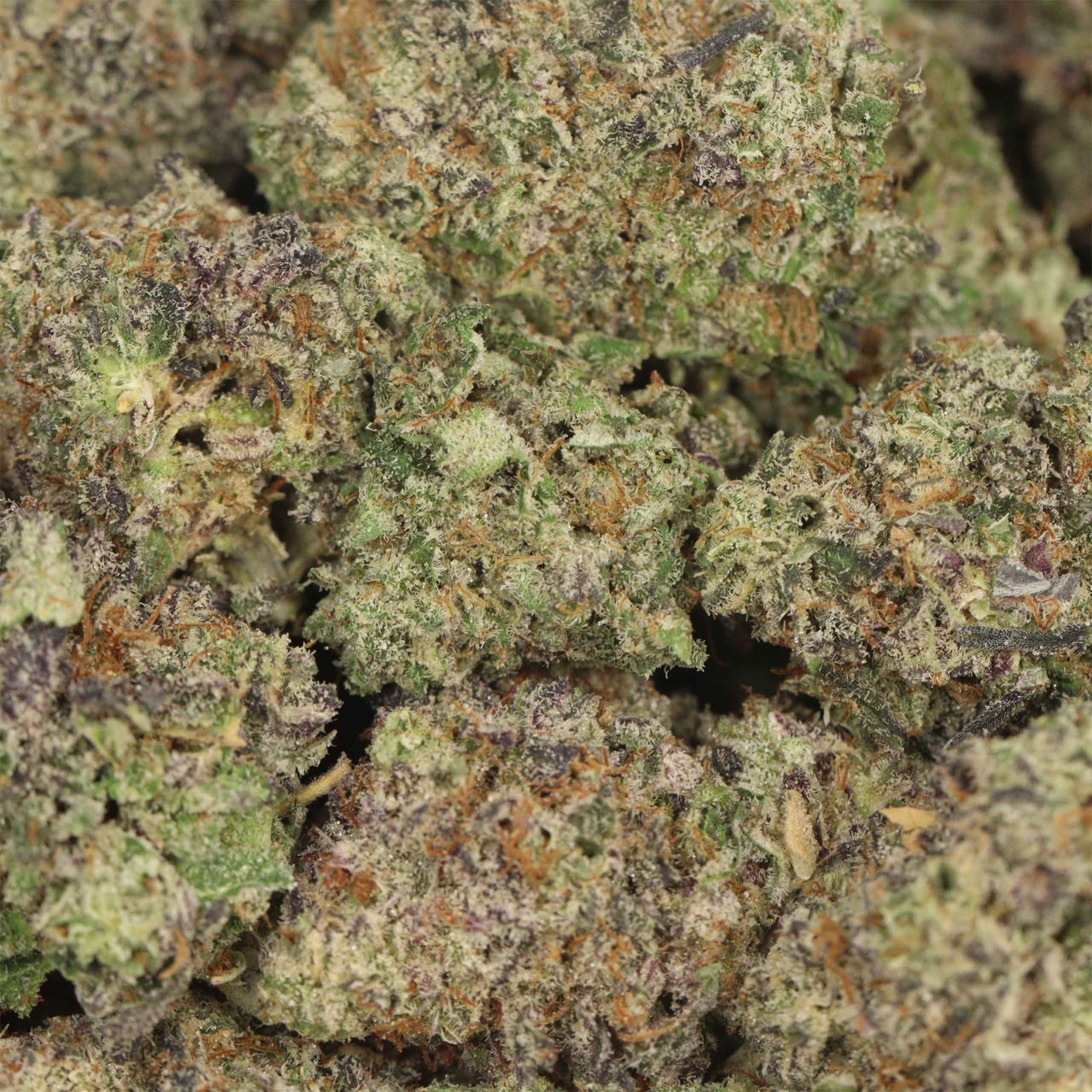 pure michigan weed cannabis