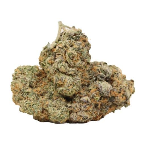 Great White Shark strain cannabis