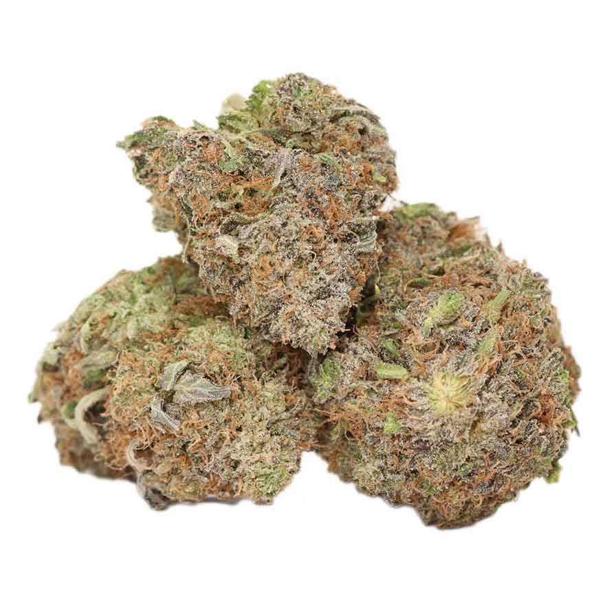 Pink Kush strain cannabis