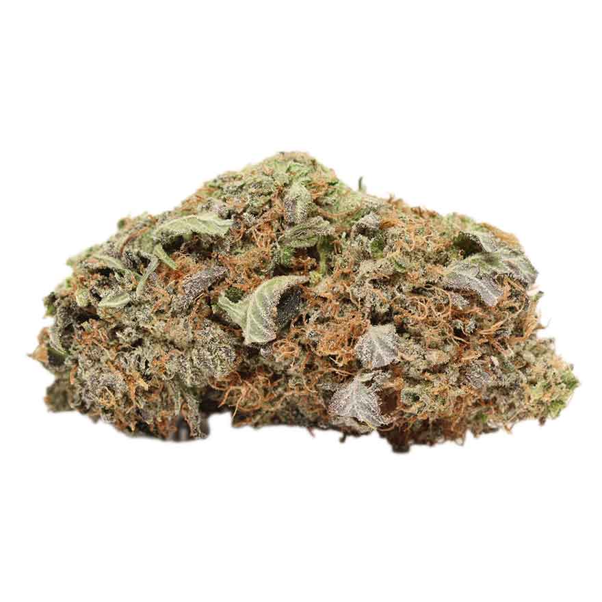 Pink Kush weed cannabis