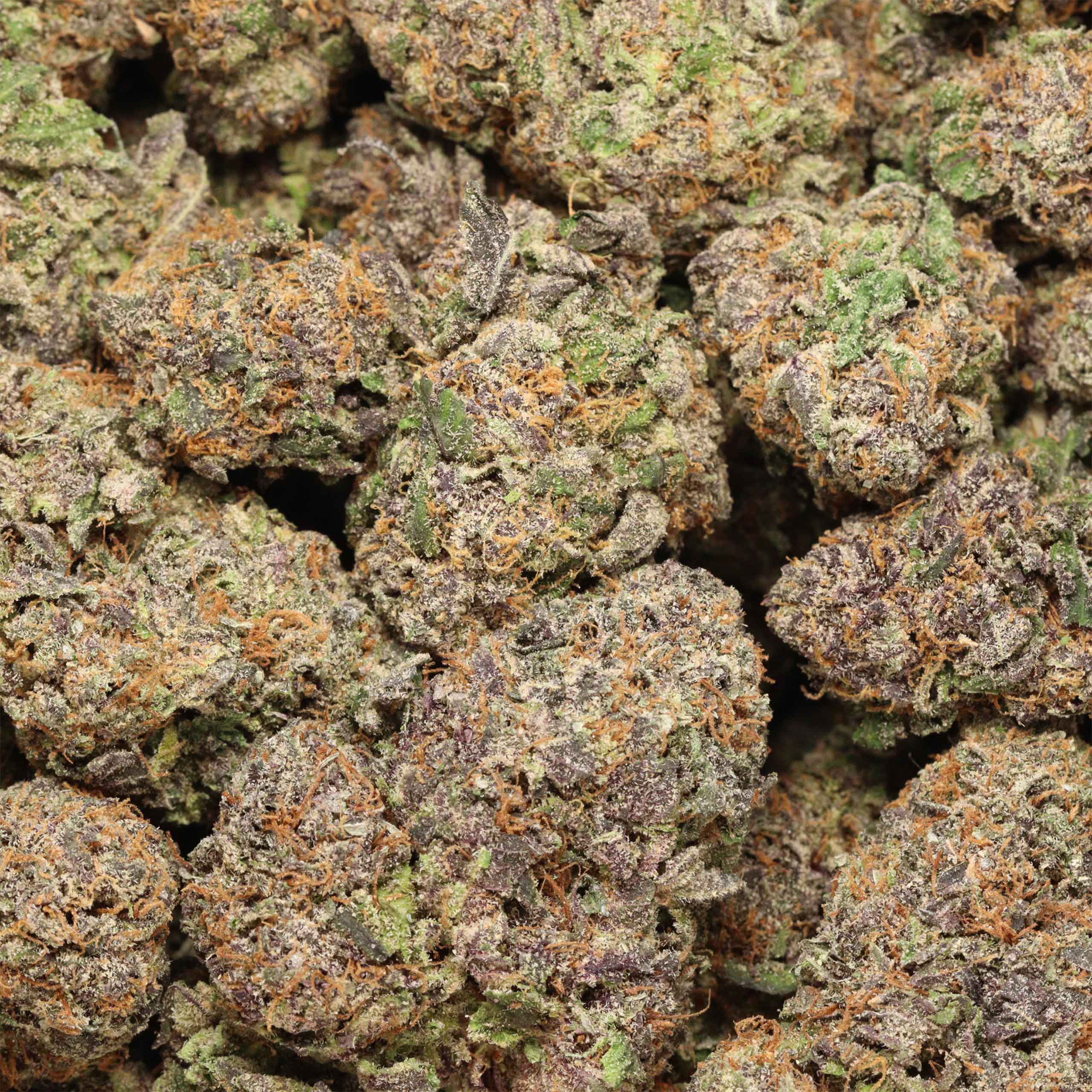 Purple Goo cannabis wholesale