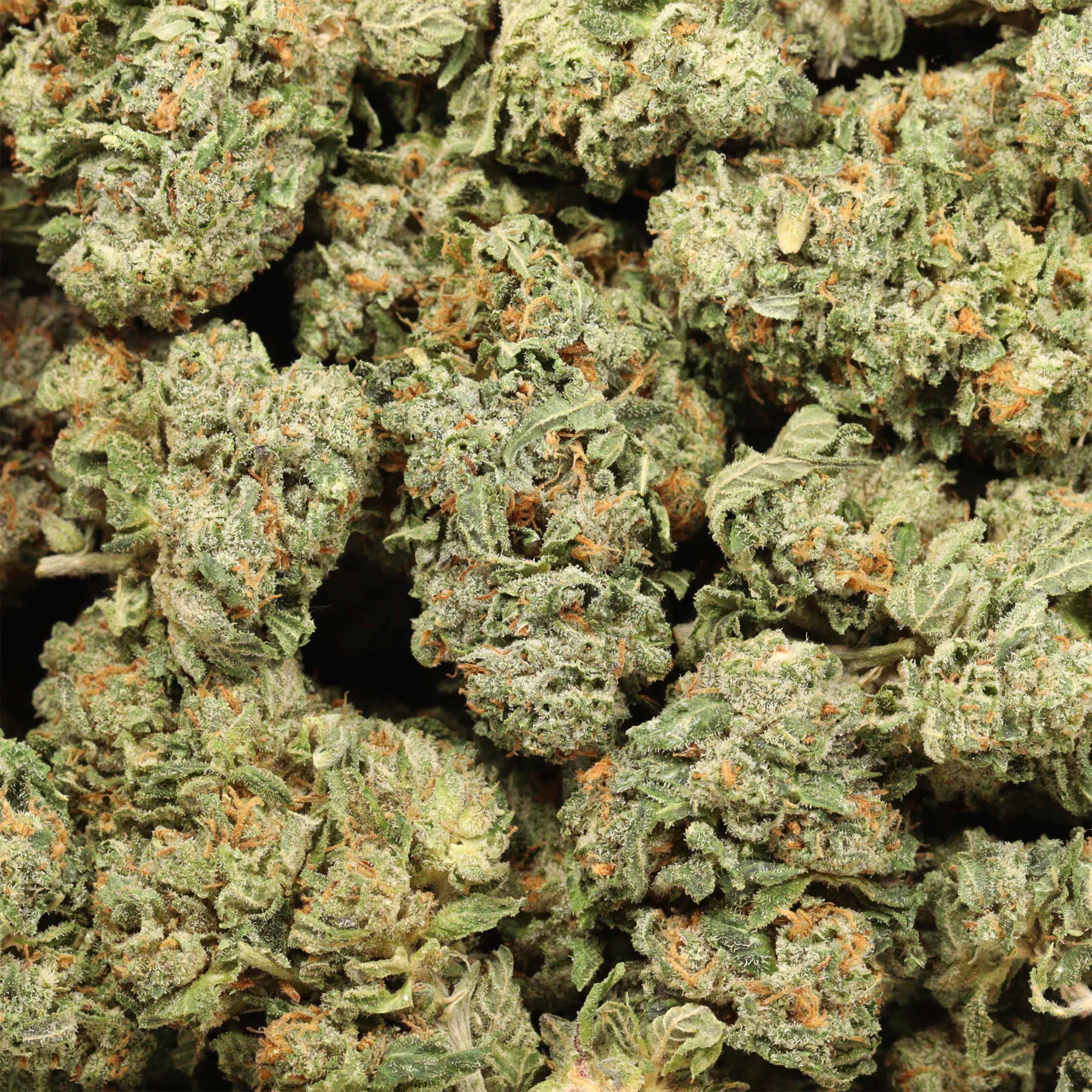 King Octane cannabis wholesale