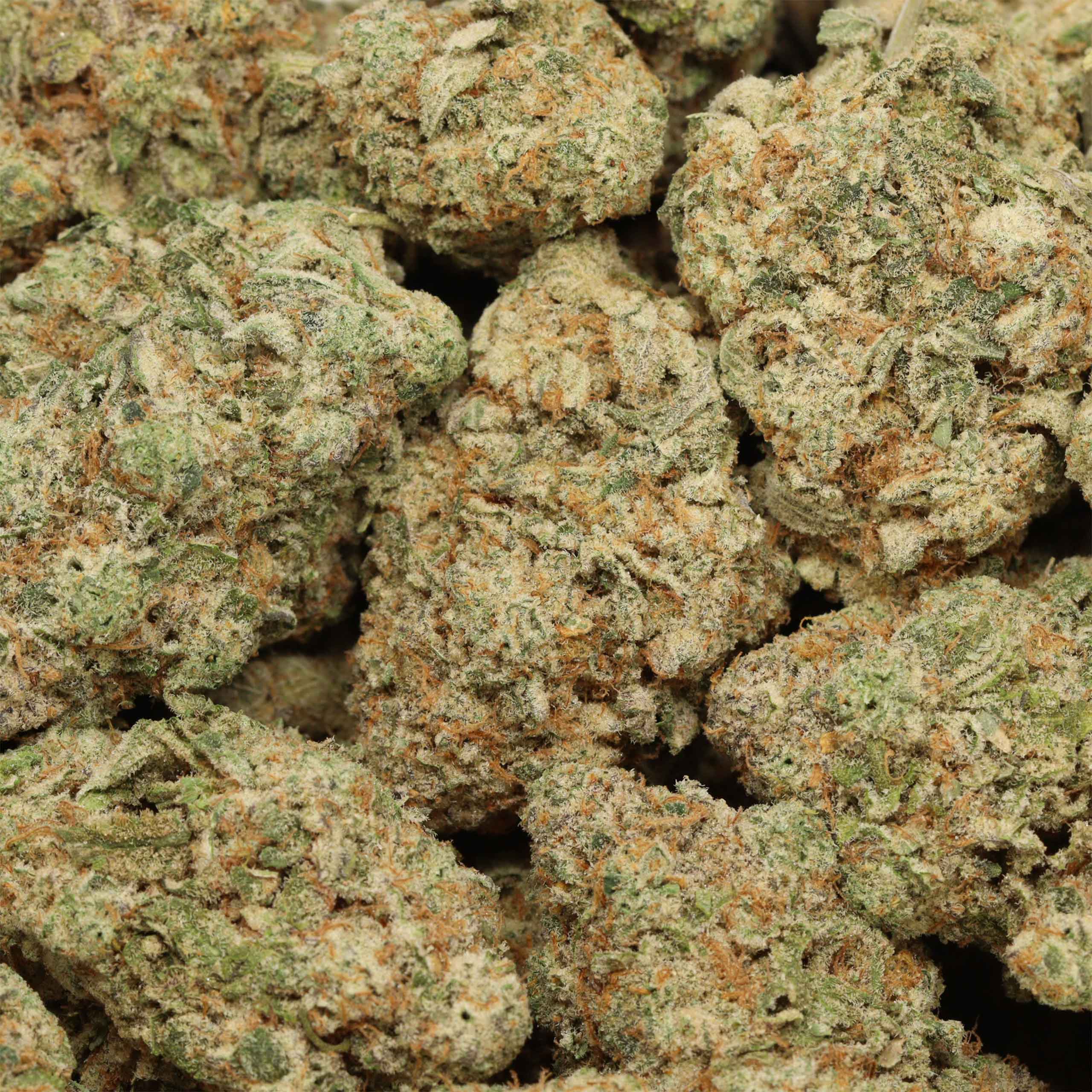 Mango Smoothie popcorn cannabis wholesale