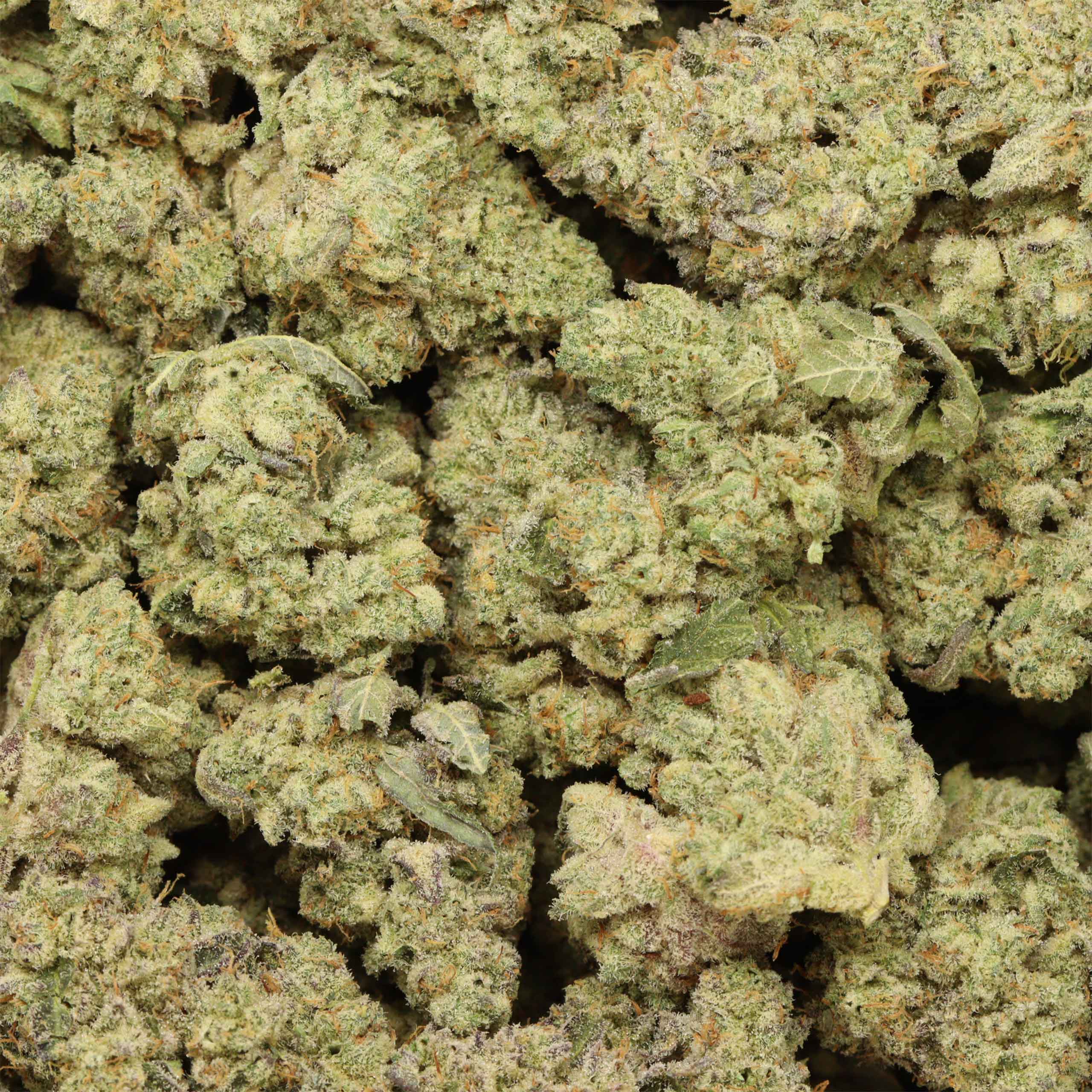 Guava Biscotti Weed Strain