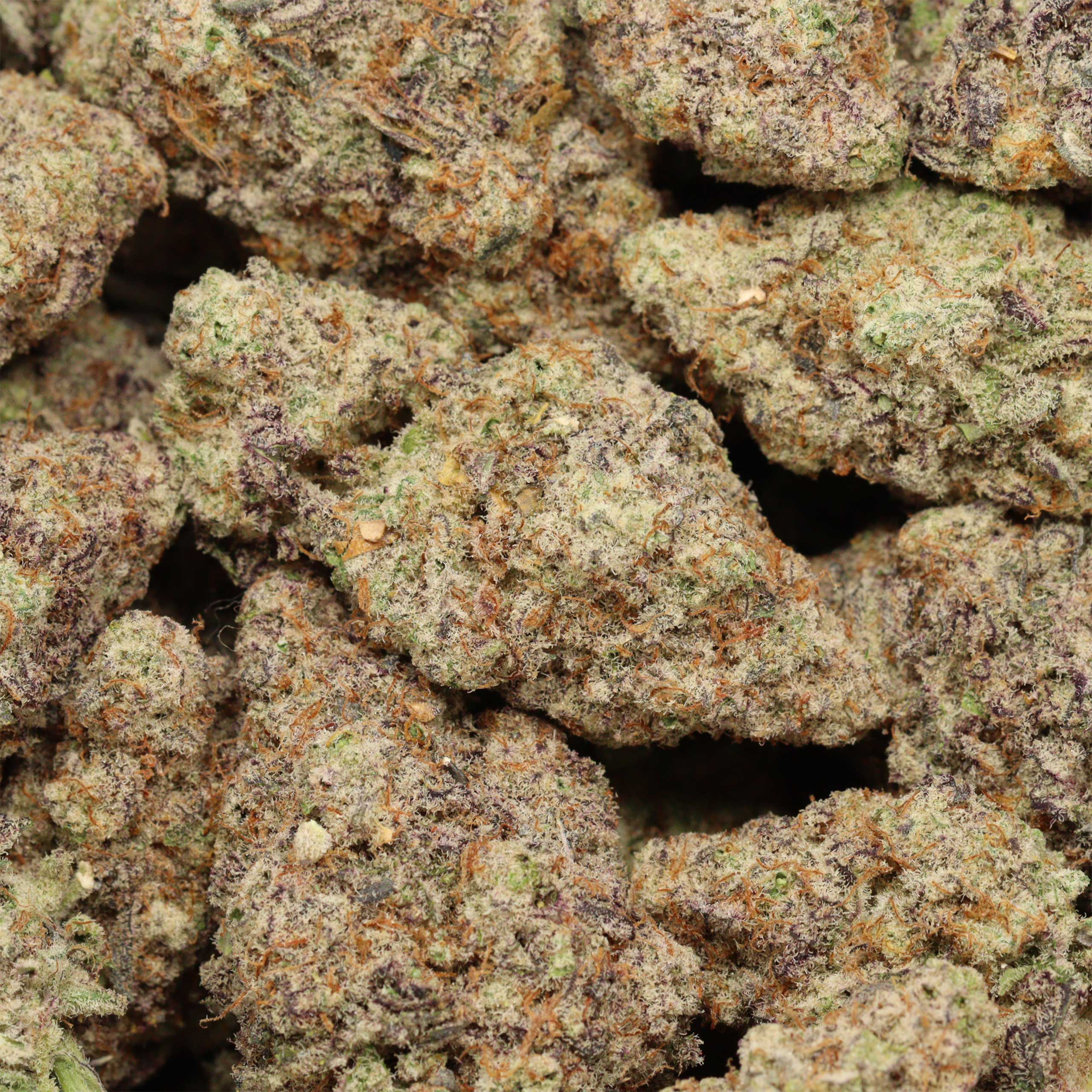 Miracle Alien Cookies craft cannabis wholesale