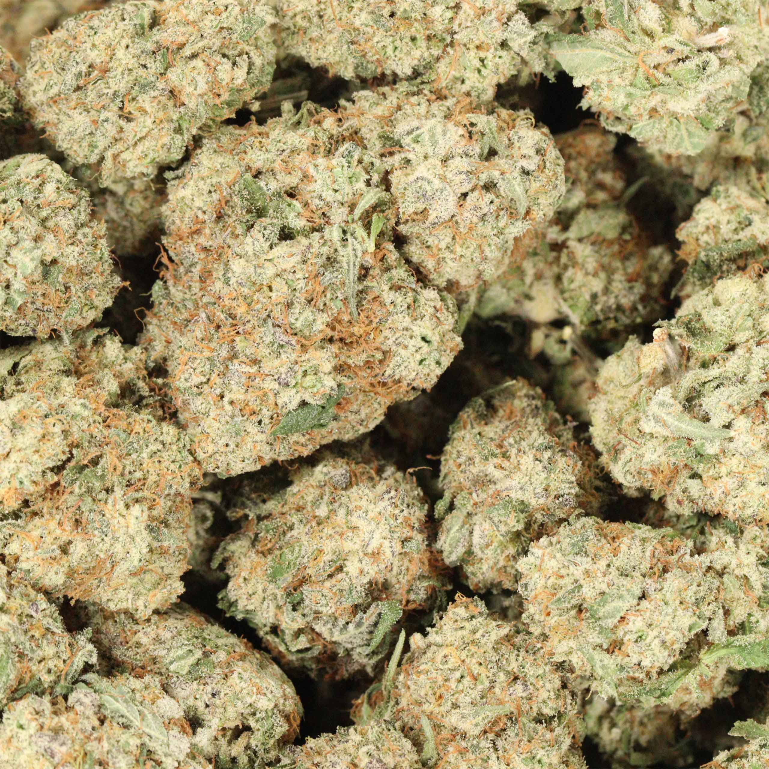 BC Gas cannabis wholesale