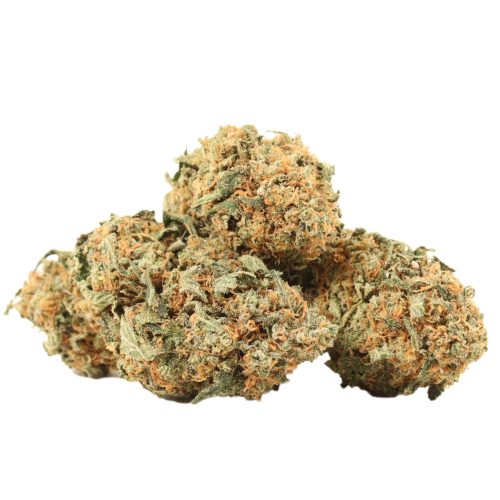 Master Kush strain cannabis