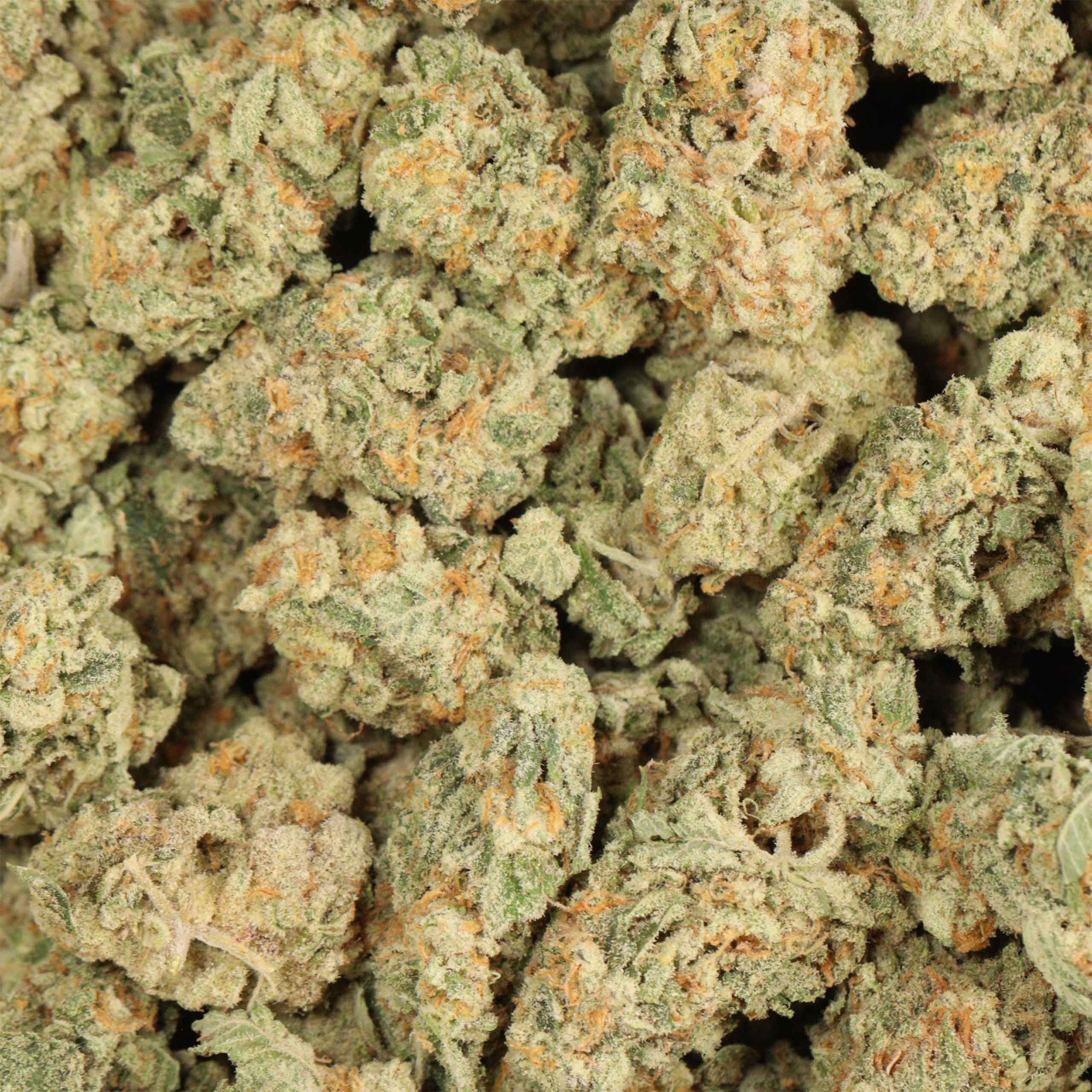 OMFG cannabis wholesale