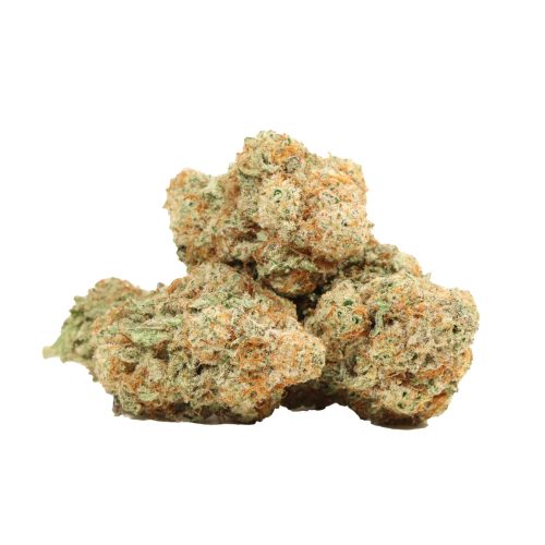 Sunset Sherbert strain cannabis