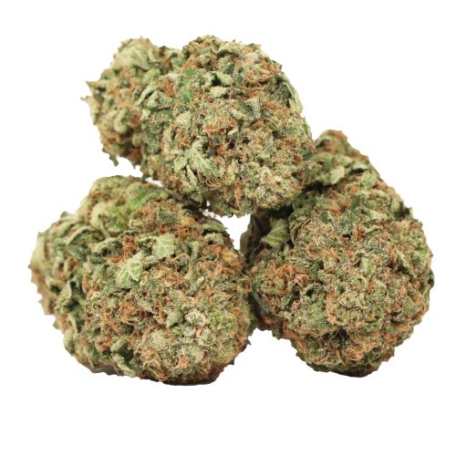 Tom Ford Pink Kush strain cannabis