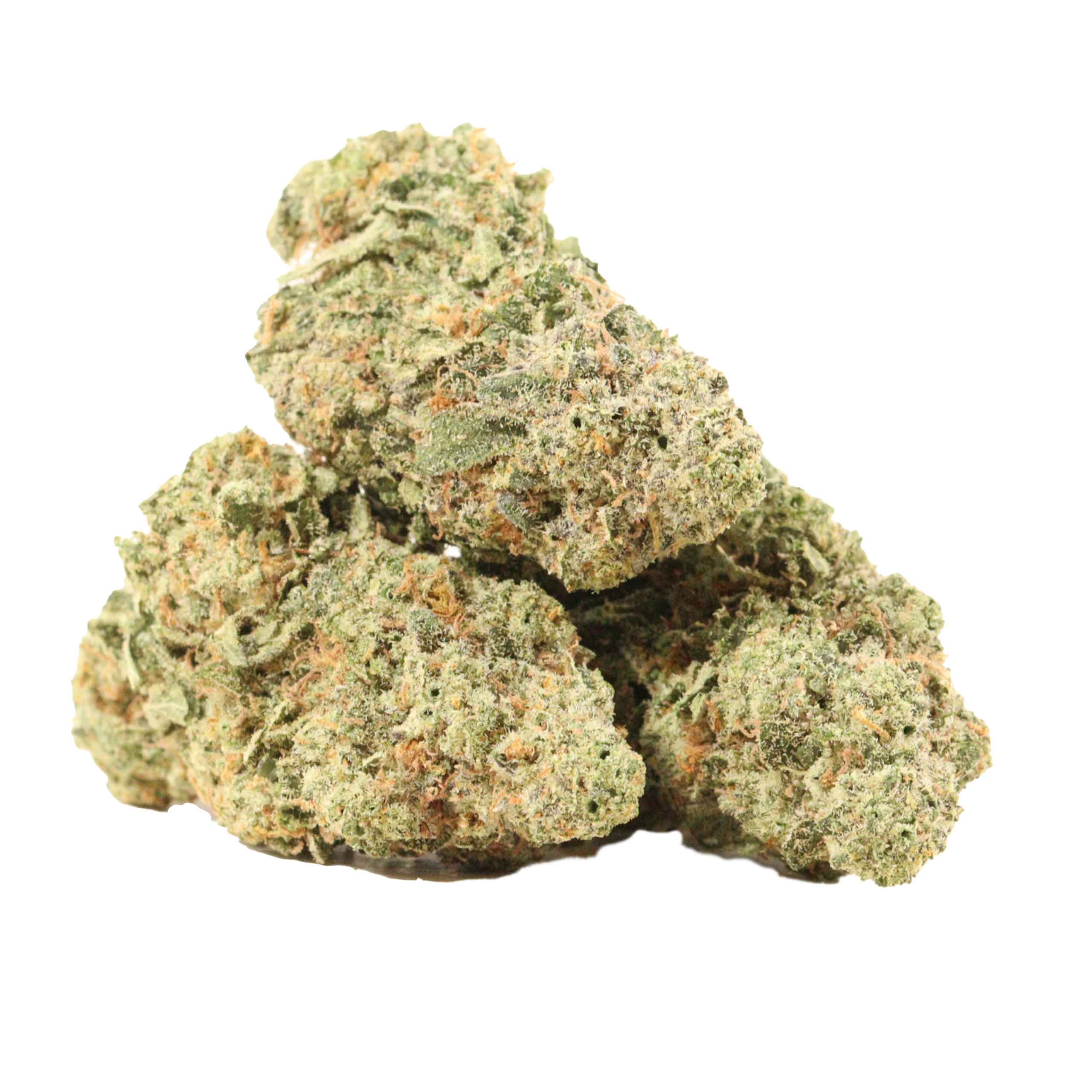 UBC Cookies strain cannabis