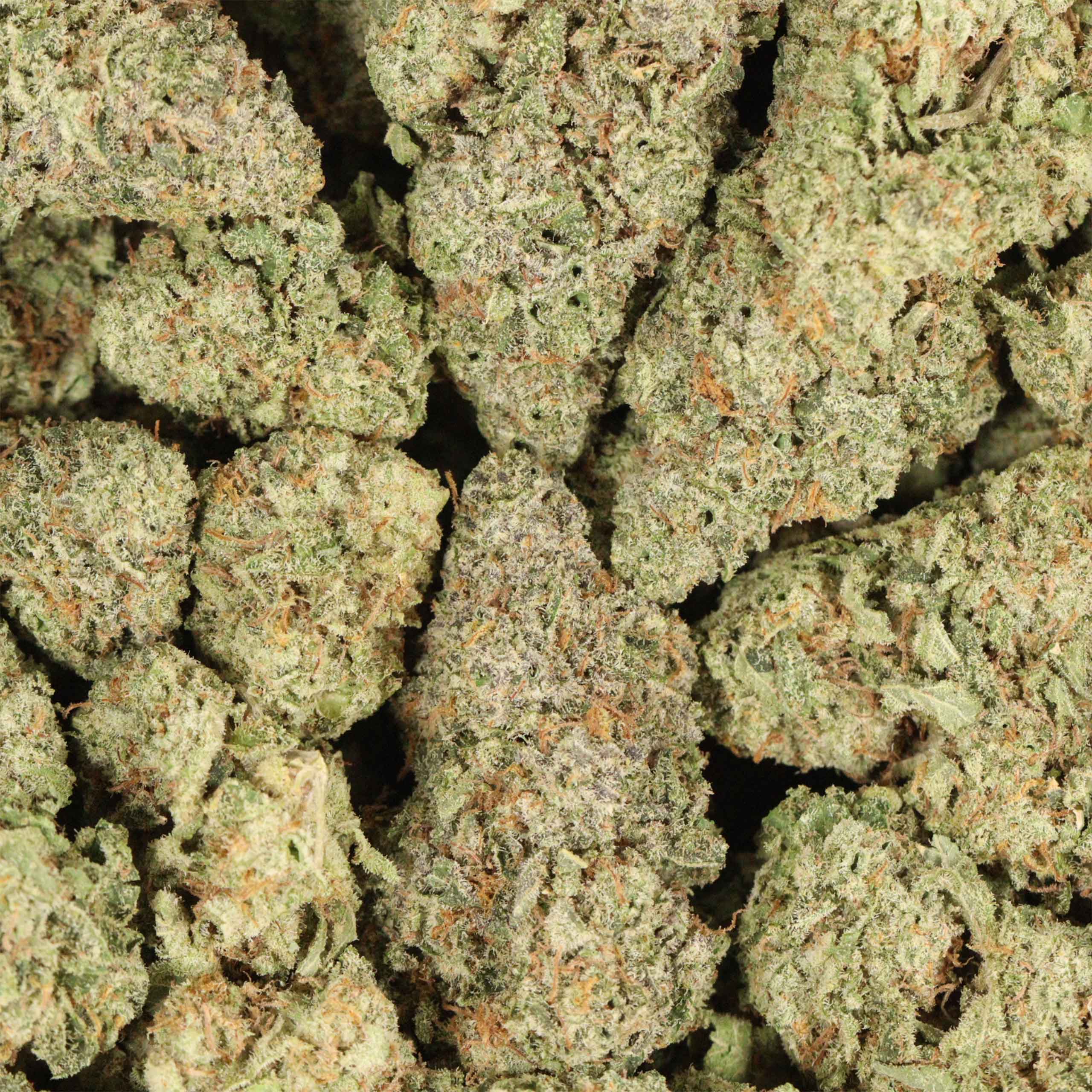 UBC Cookies cannabis wholesale