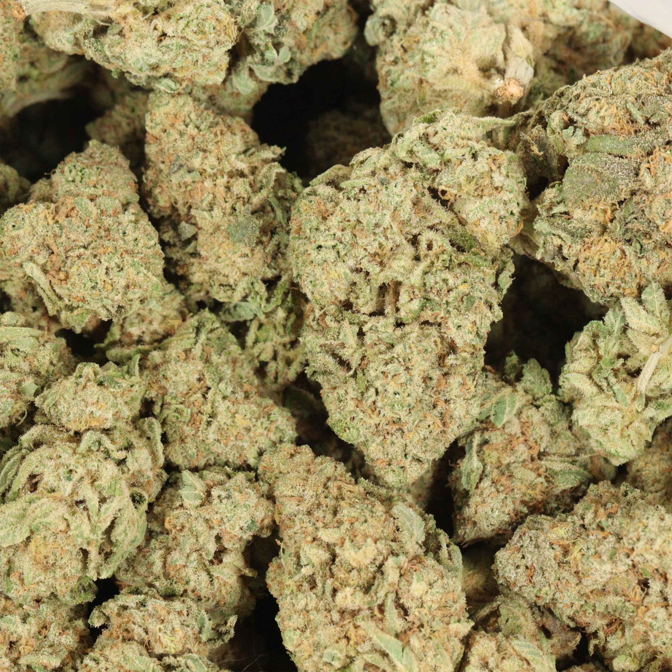 AK-47 cannabis wholesale