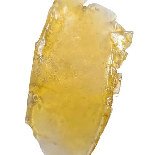 Blue Cheese Shatter concentrates wholesale