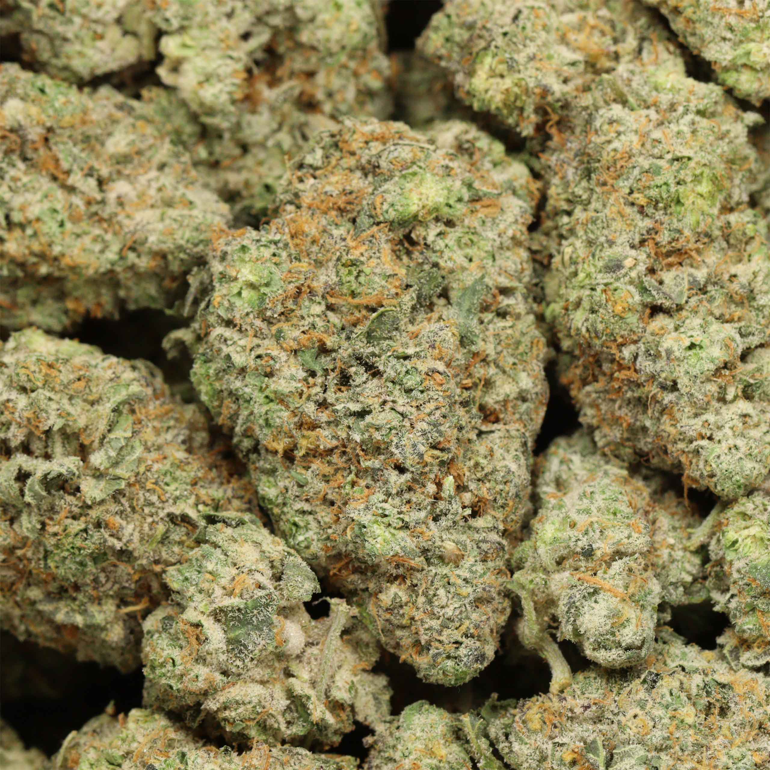 Butterscotch cannabis wholesale