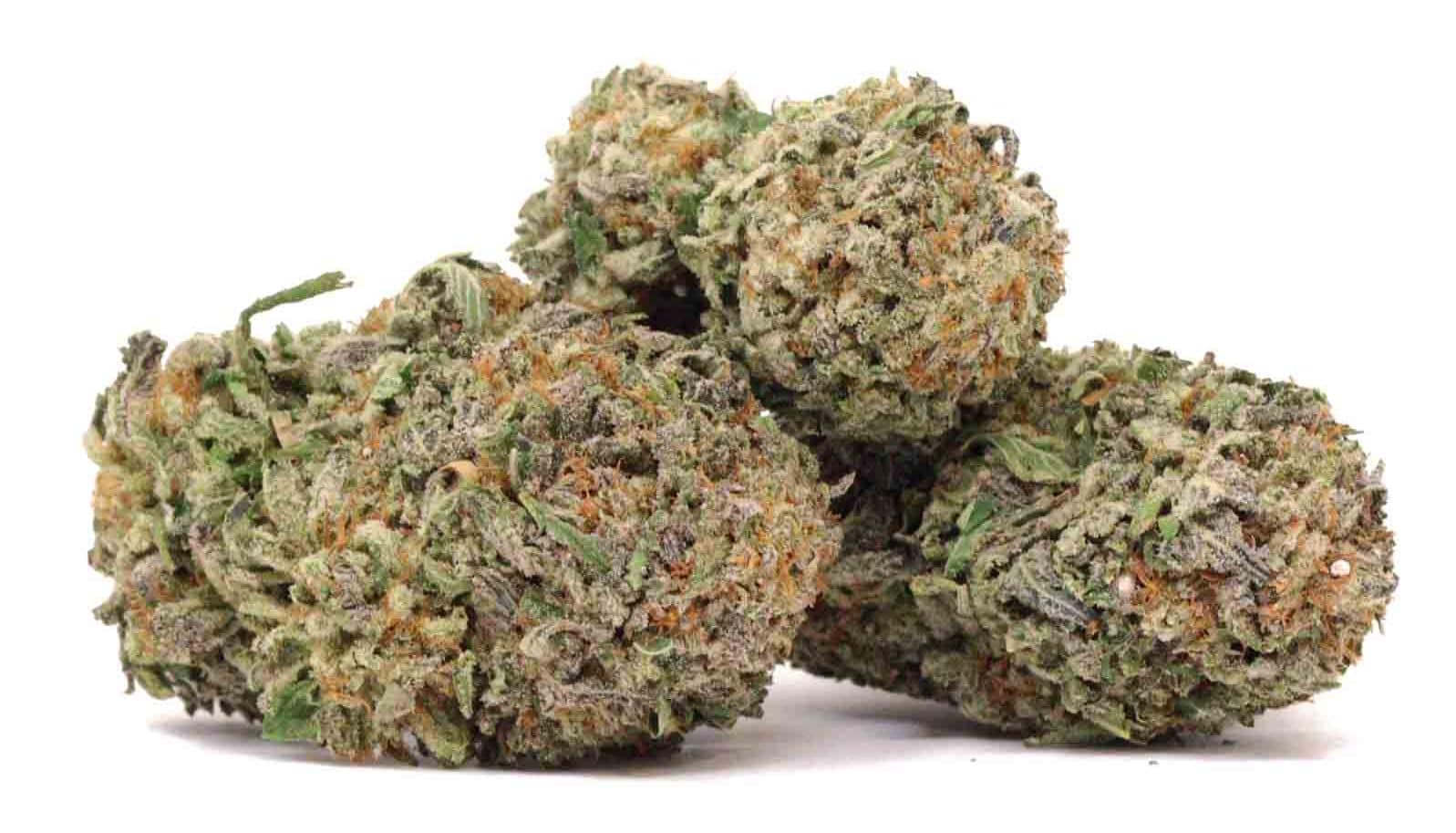 Bubba Candy Strain: A Flavorful Knockout with Indica Power