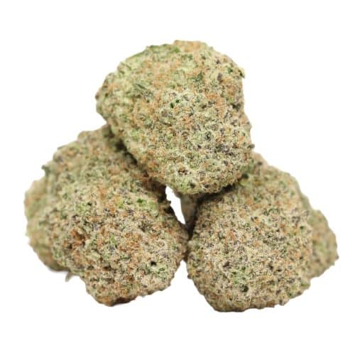 Guava Kush strain cannabis