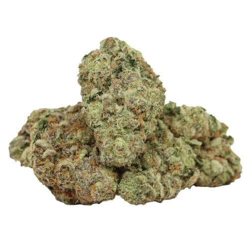 Gary Payton strain cannabis