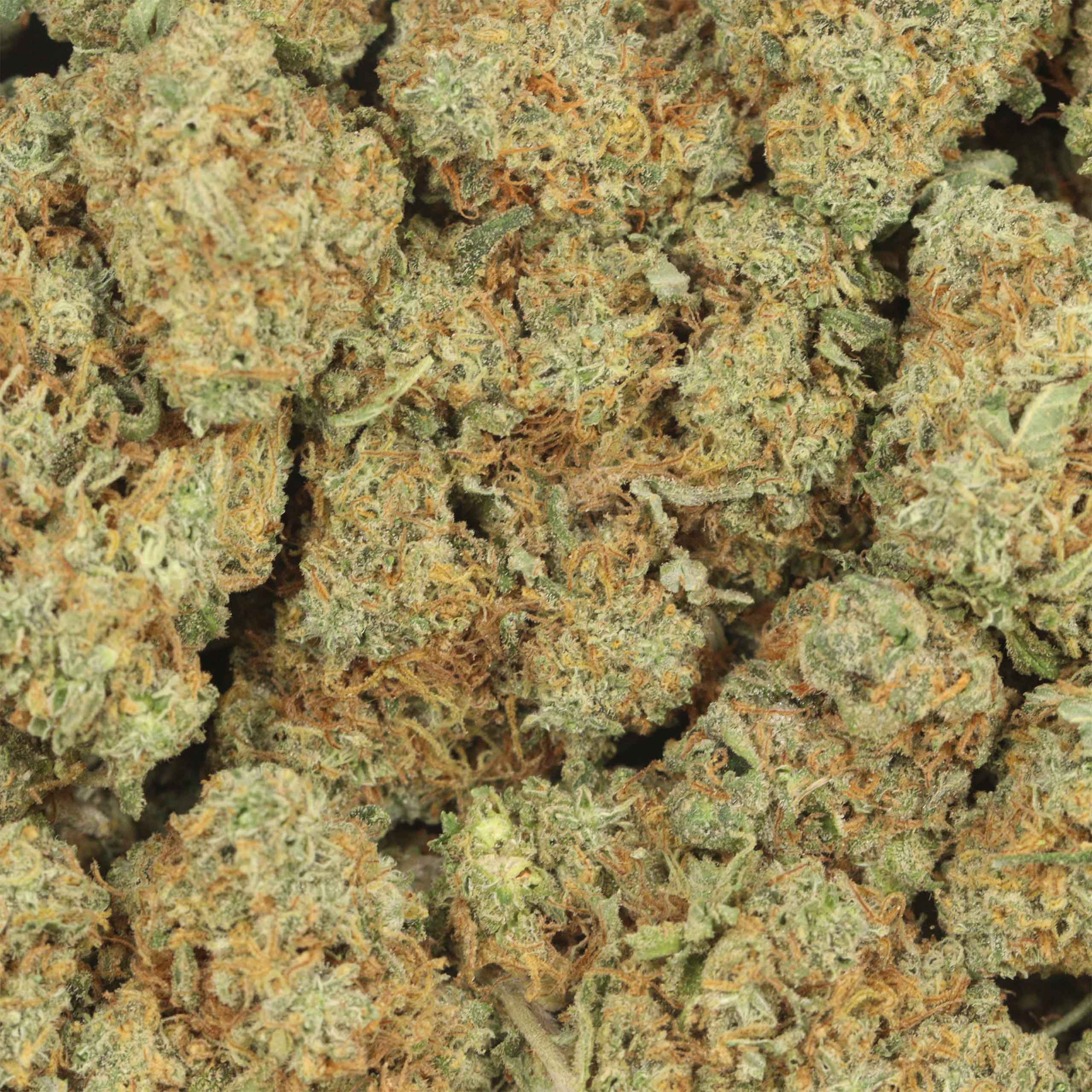 Rockstar OG - Image 3