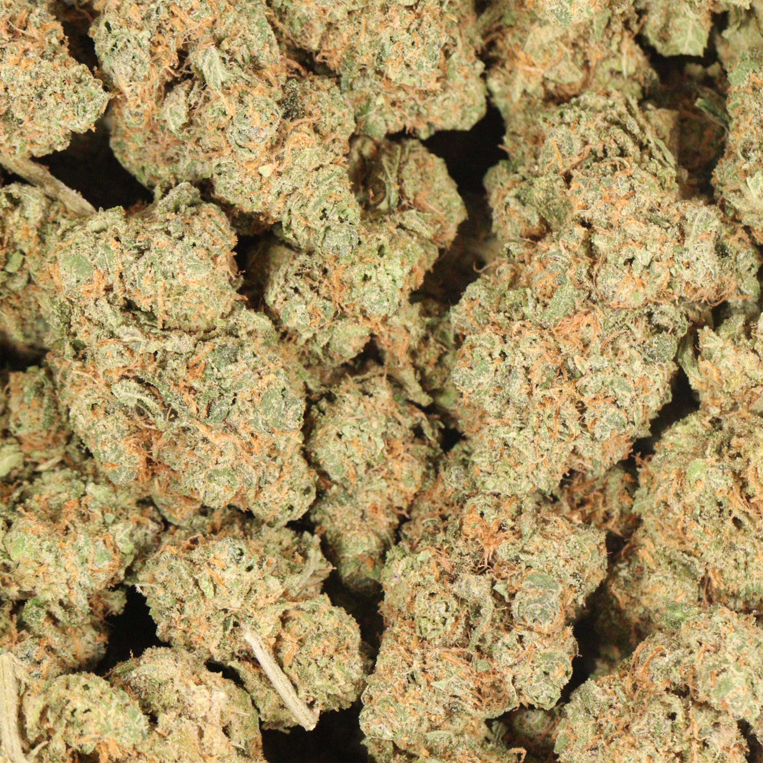 Alien Banana Candy cannabis