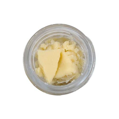 blue gelato budder concentrates