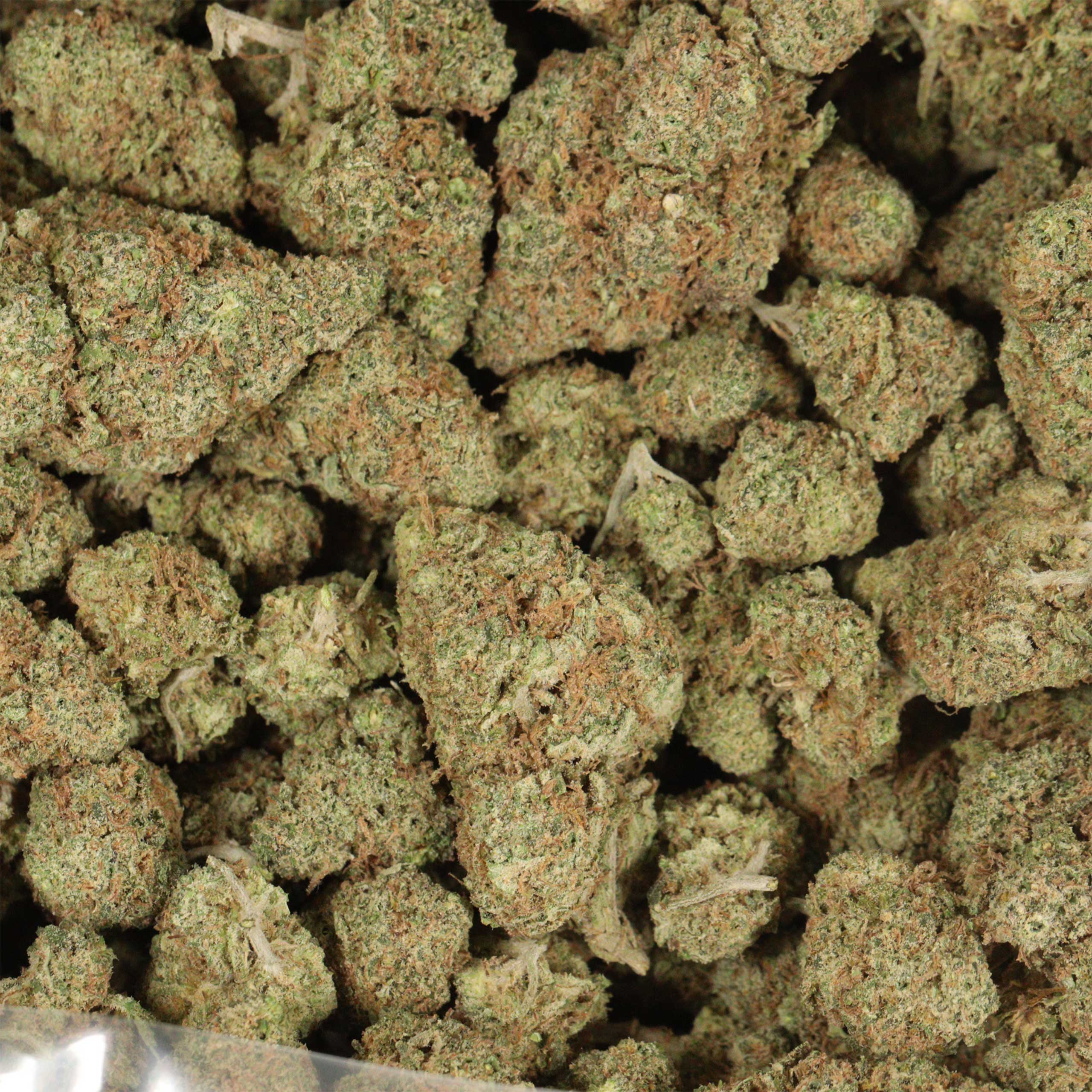 Blue Lemon cannabis wholesale