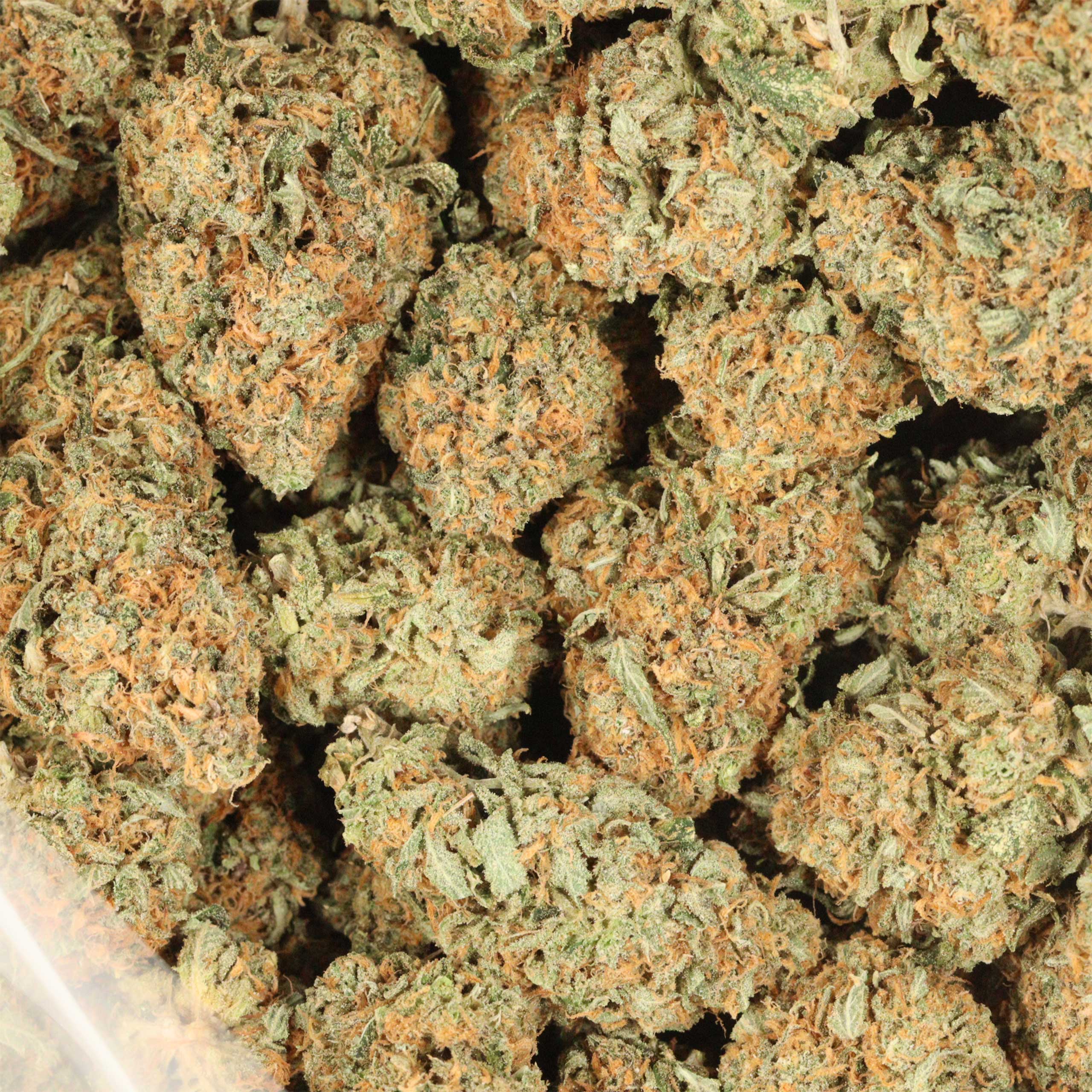 Blueberry AK cannabis wholesale