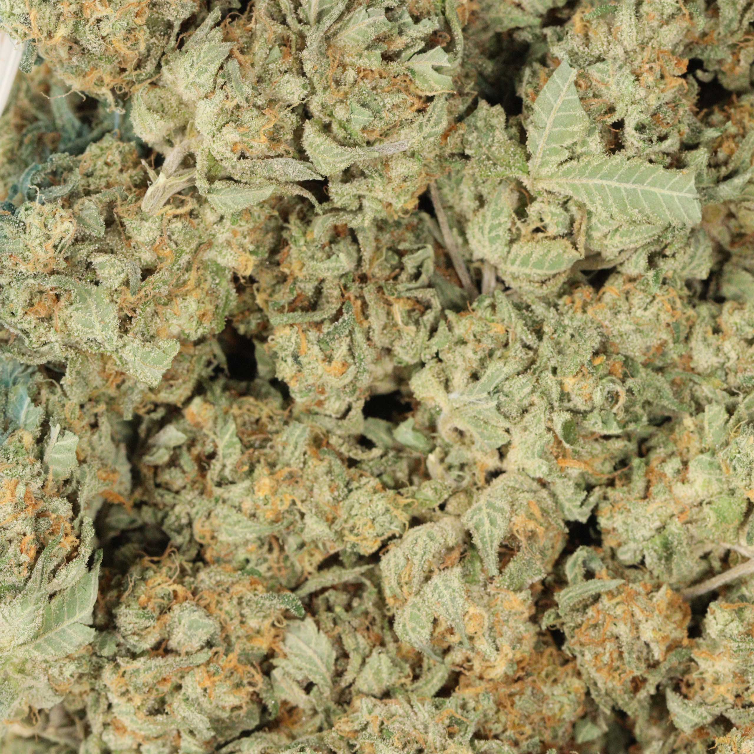 Bubba Tuna cannabis wholesale