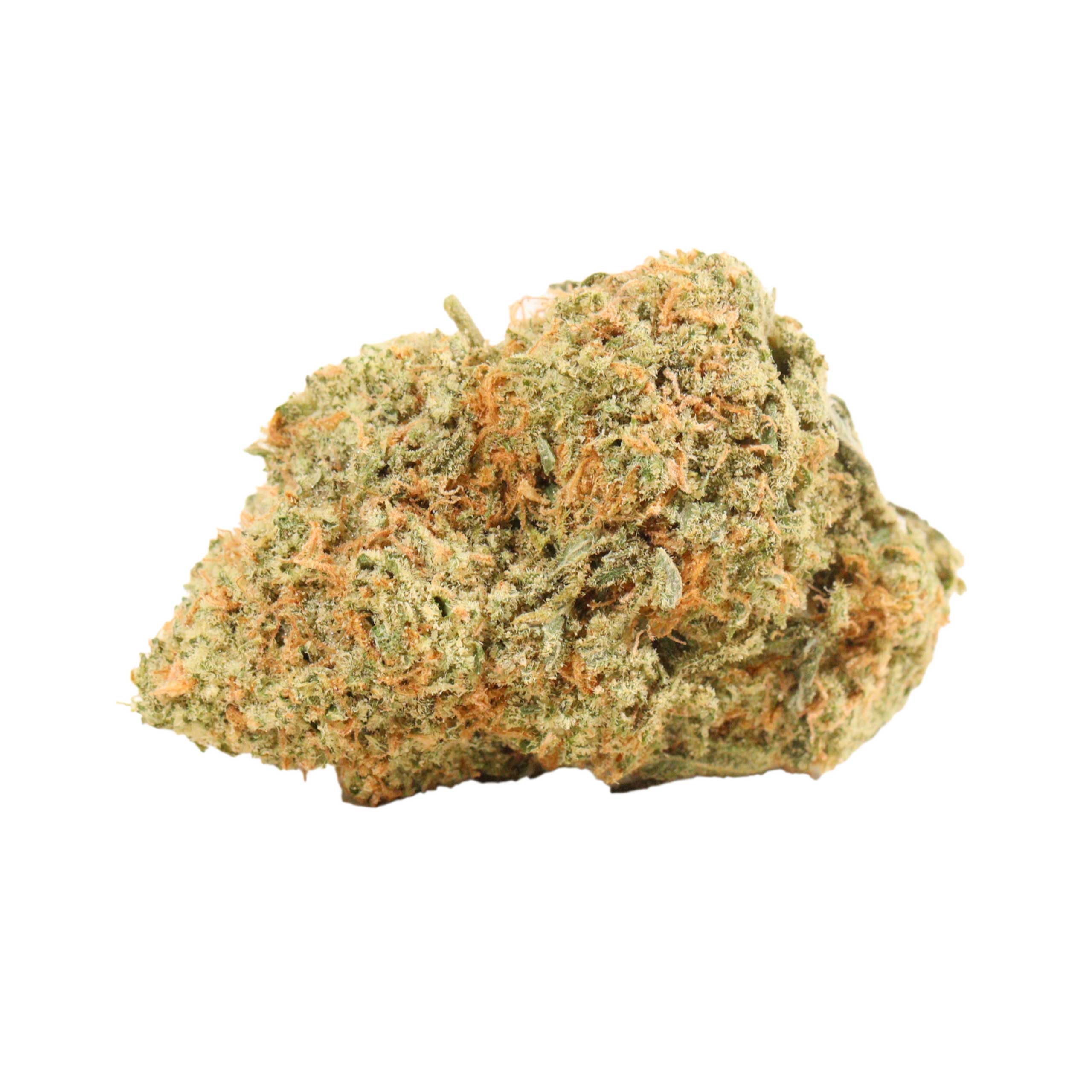 Chocolate Kush weed cannabis