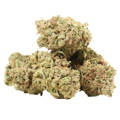 Death Gas strain cannabis