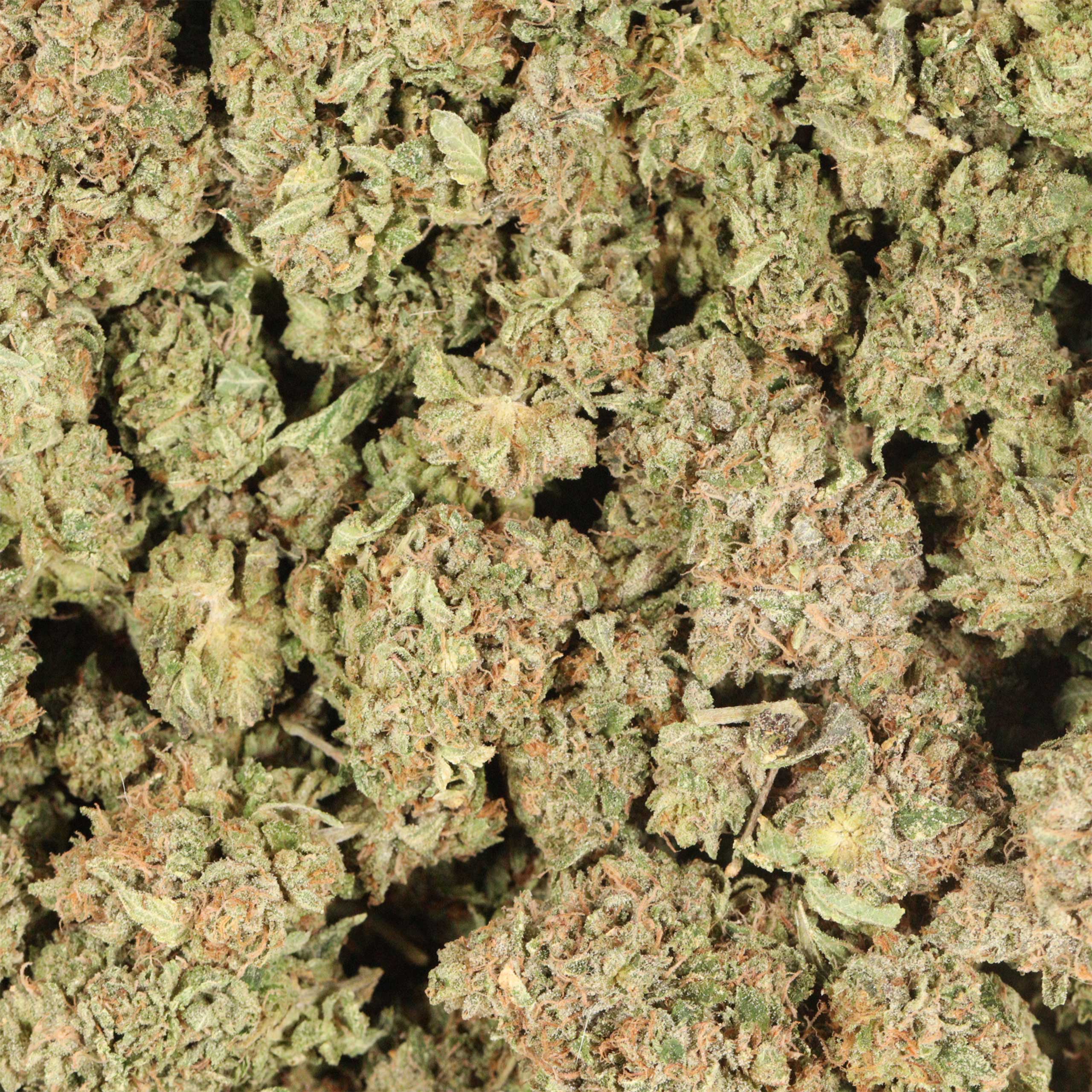 Death Gas cannabis wholesale