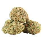 EL Chapo strain cannabis