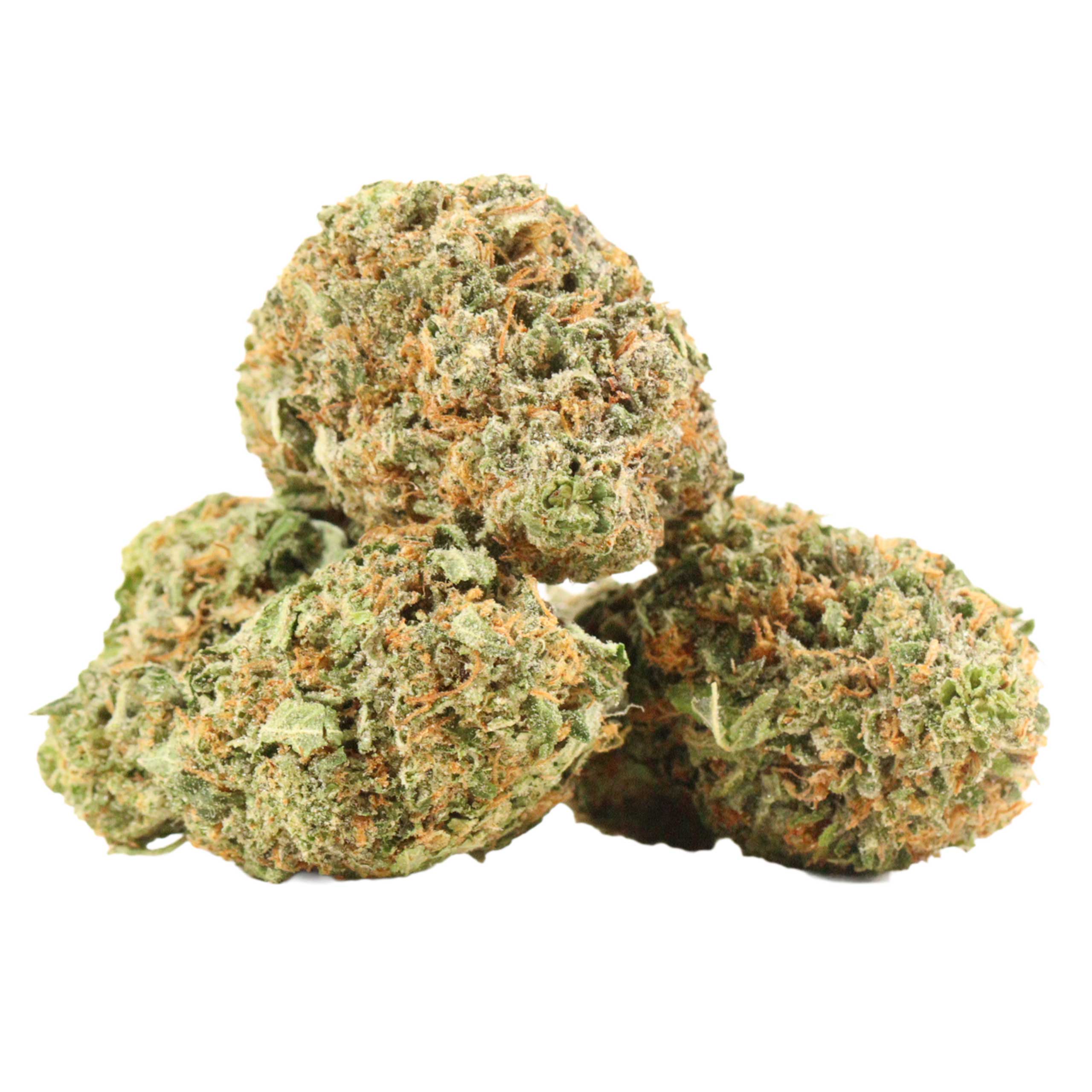 EL Chapo strain cannabis