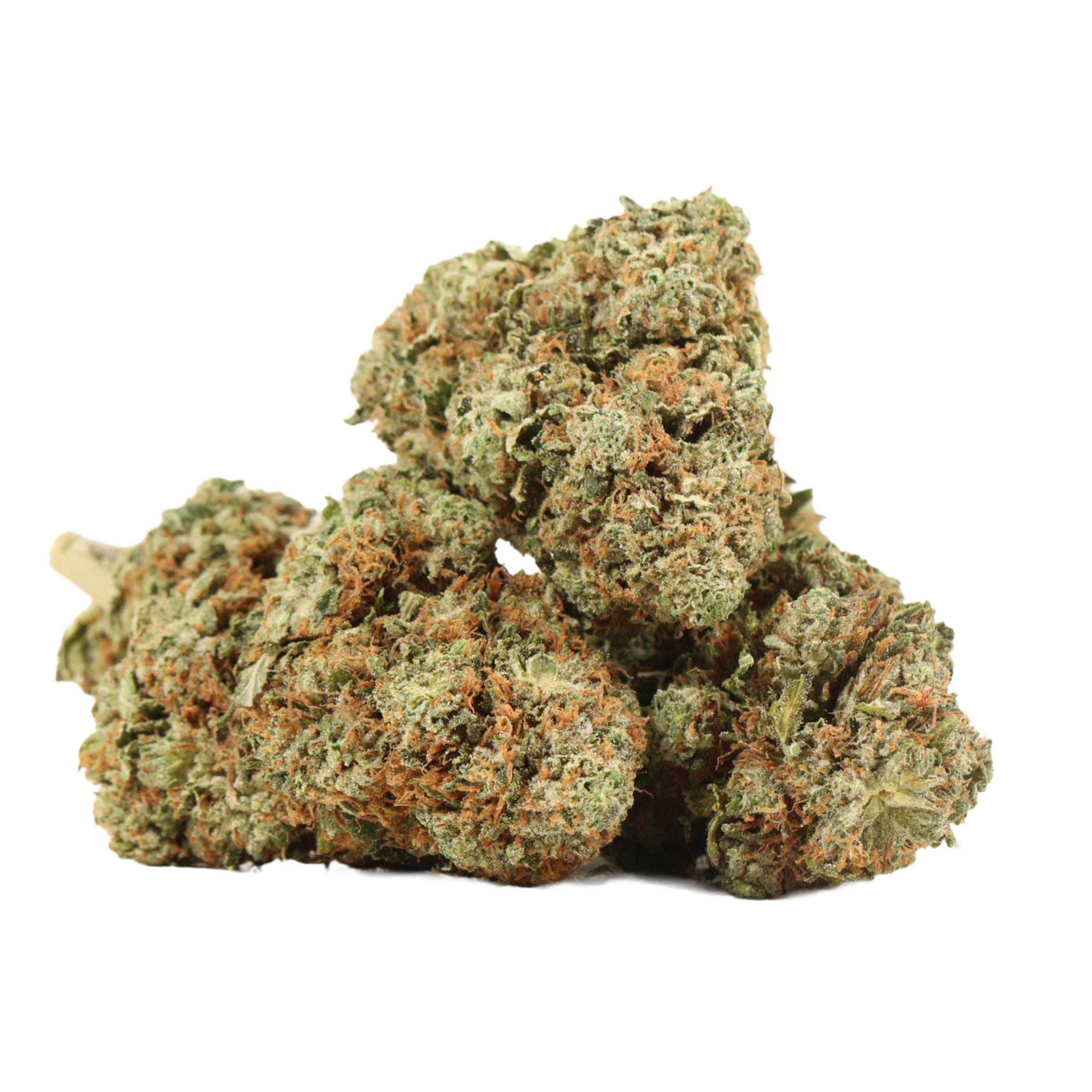 EL Jefe strain cannabis