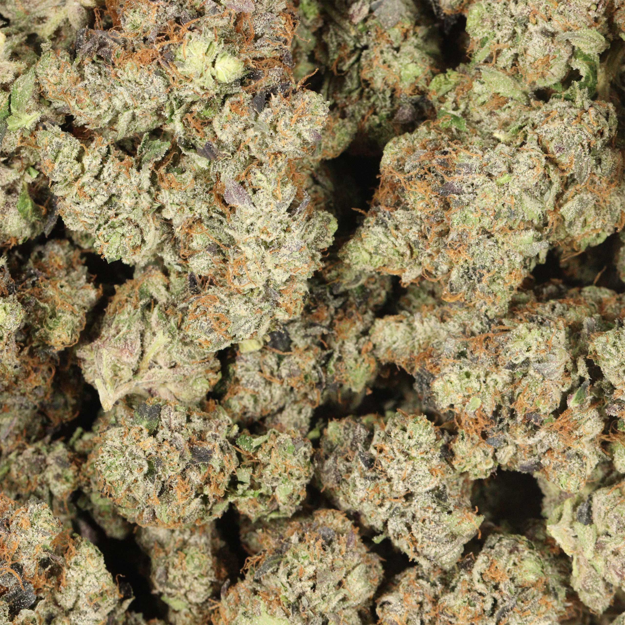 Gas Daddy craft cannabis wholesale