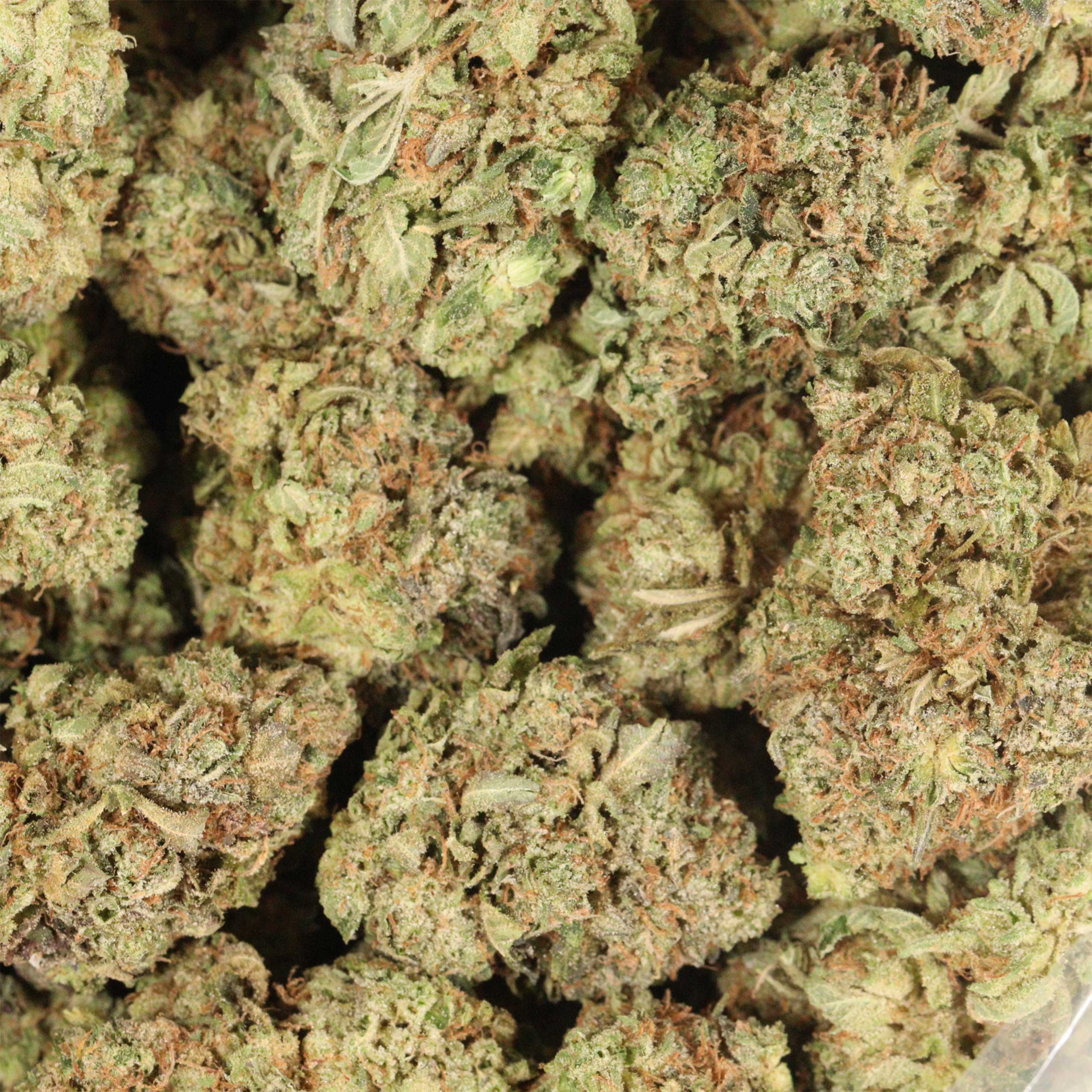 GrandDaddy Death cannabis wholesale