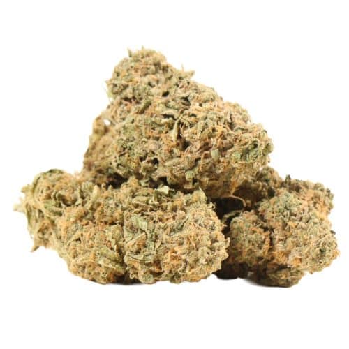 Lee Roy strain cannabis