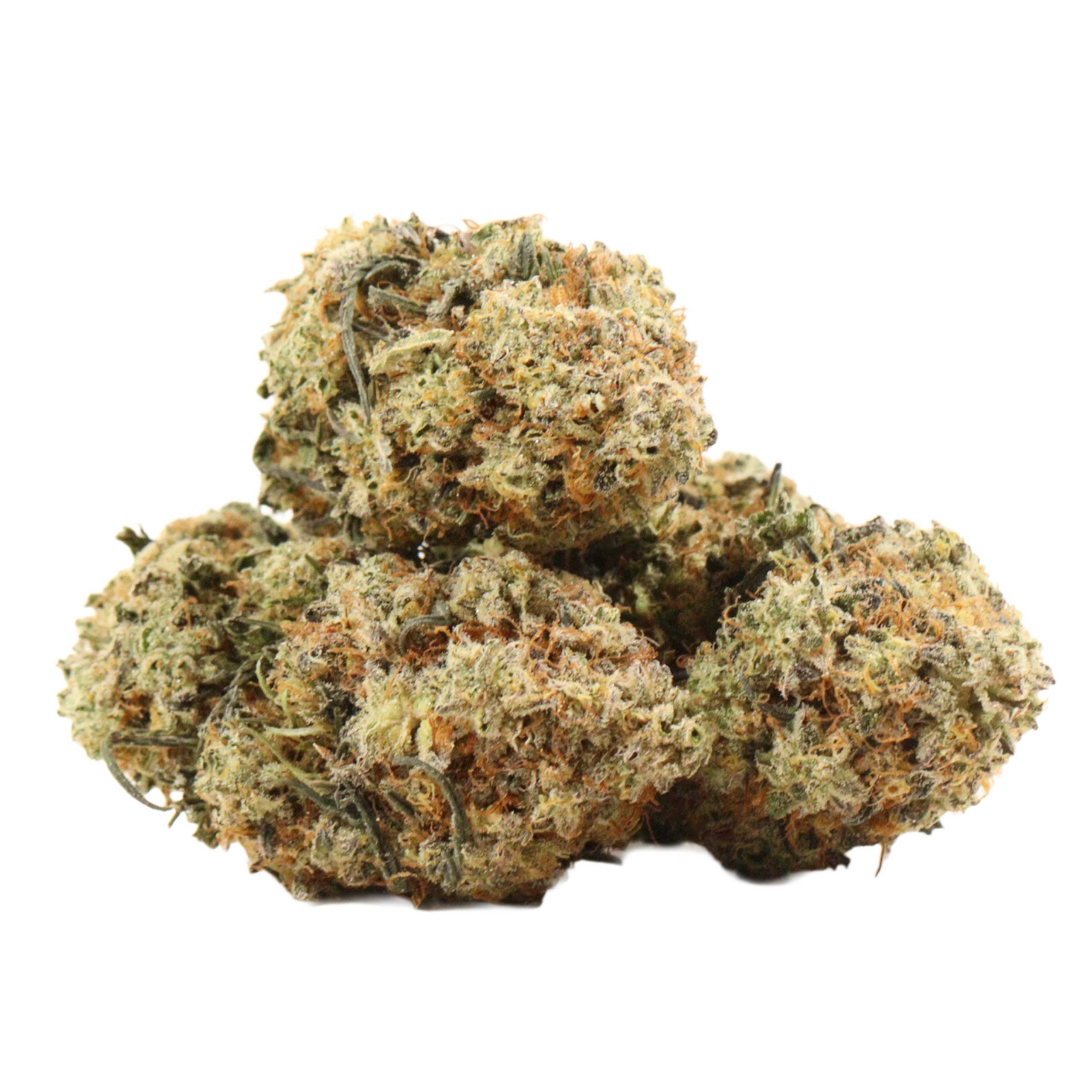 London Truffle strain cannabis