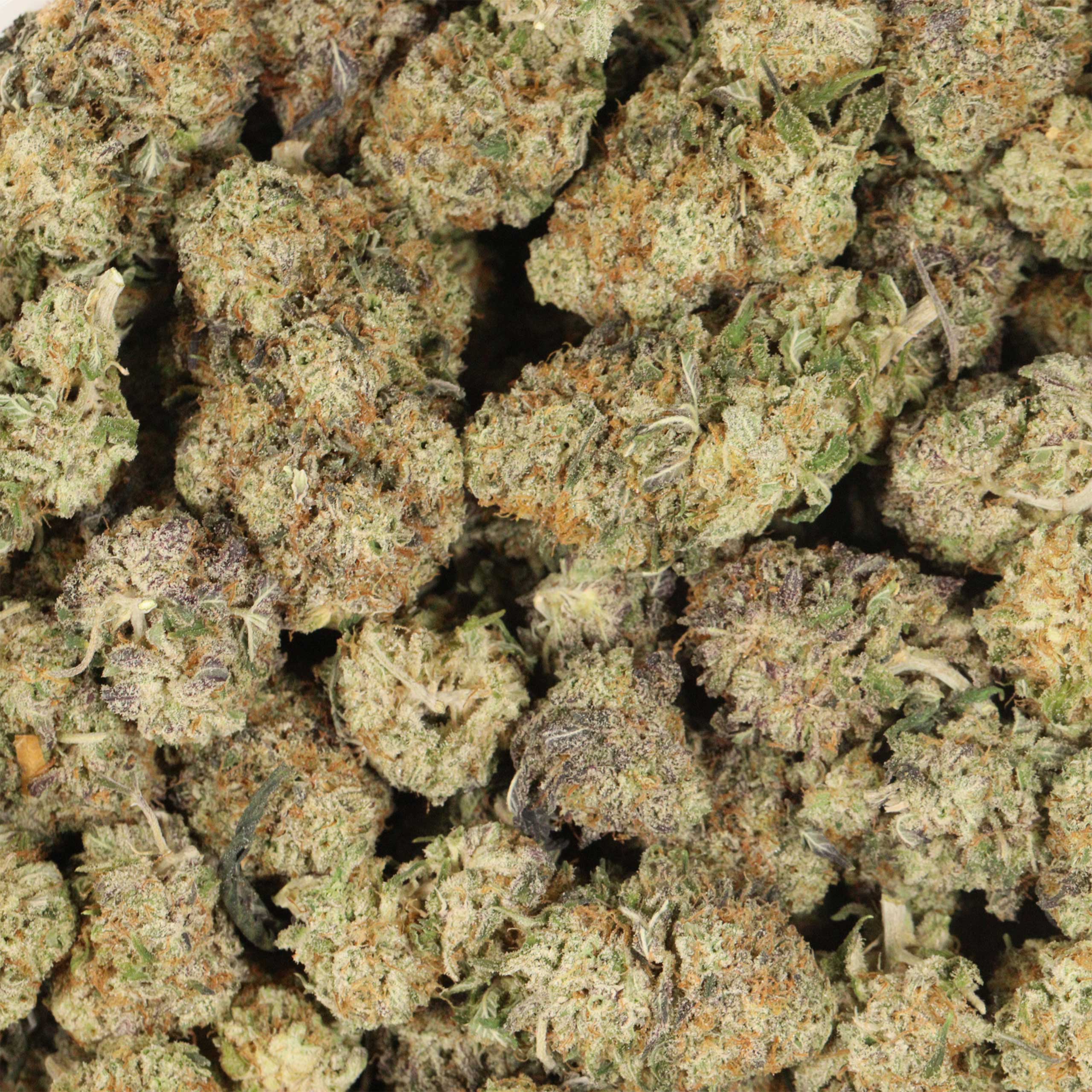 London Truffle cannabis wholesale