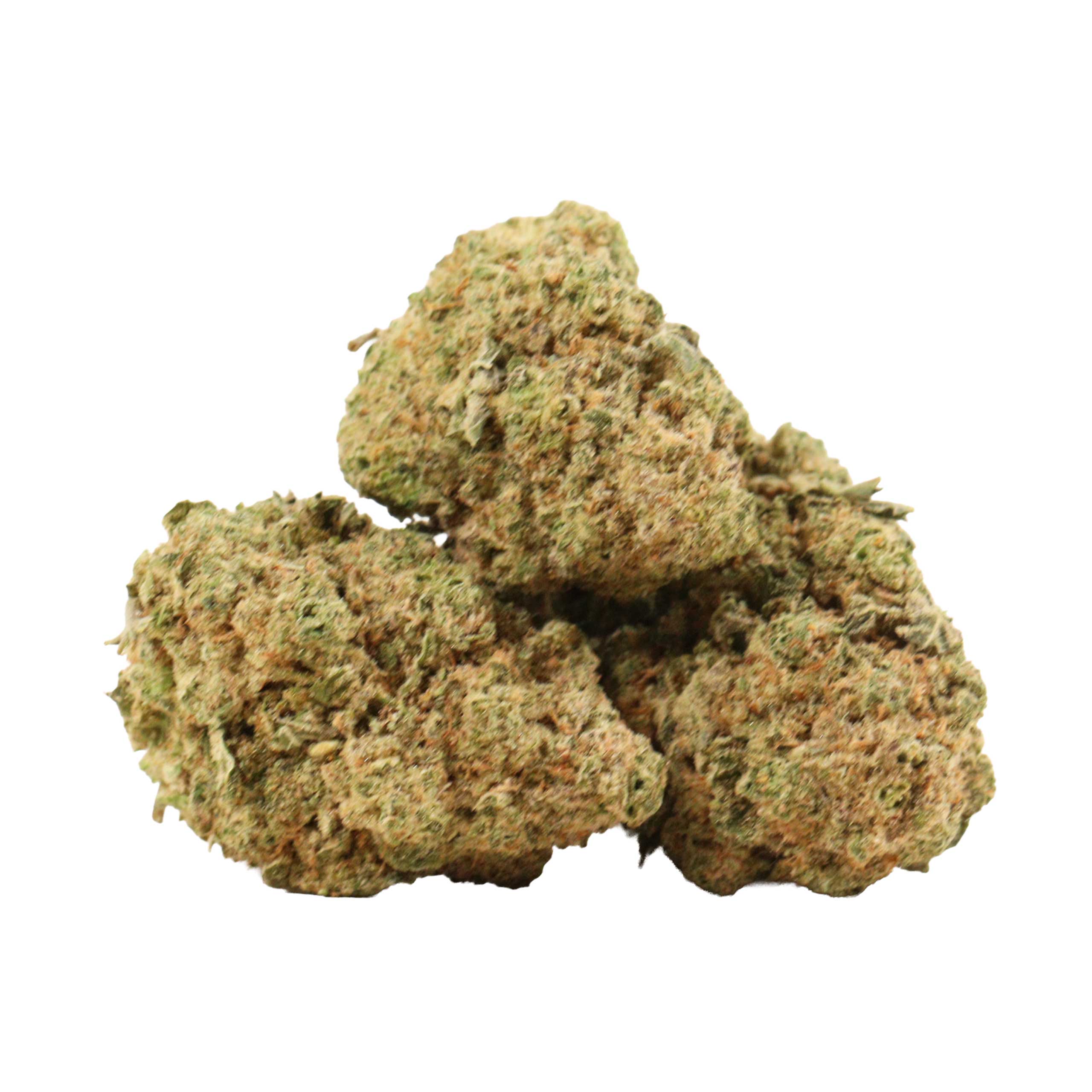 Neon Jesus strain cannabis