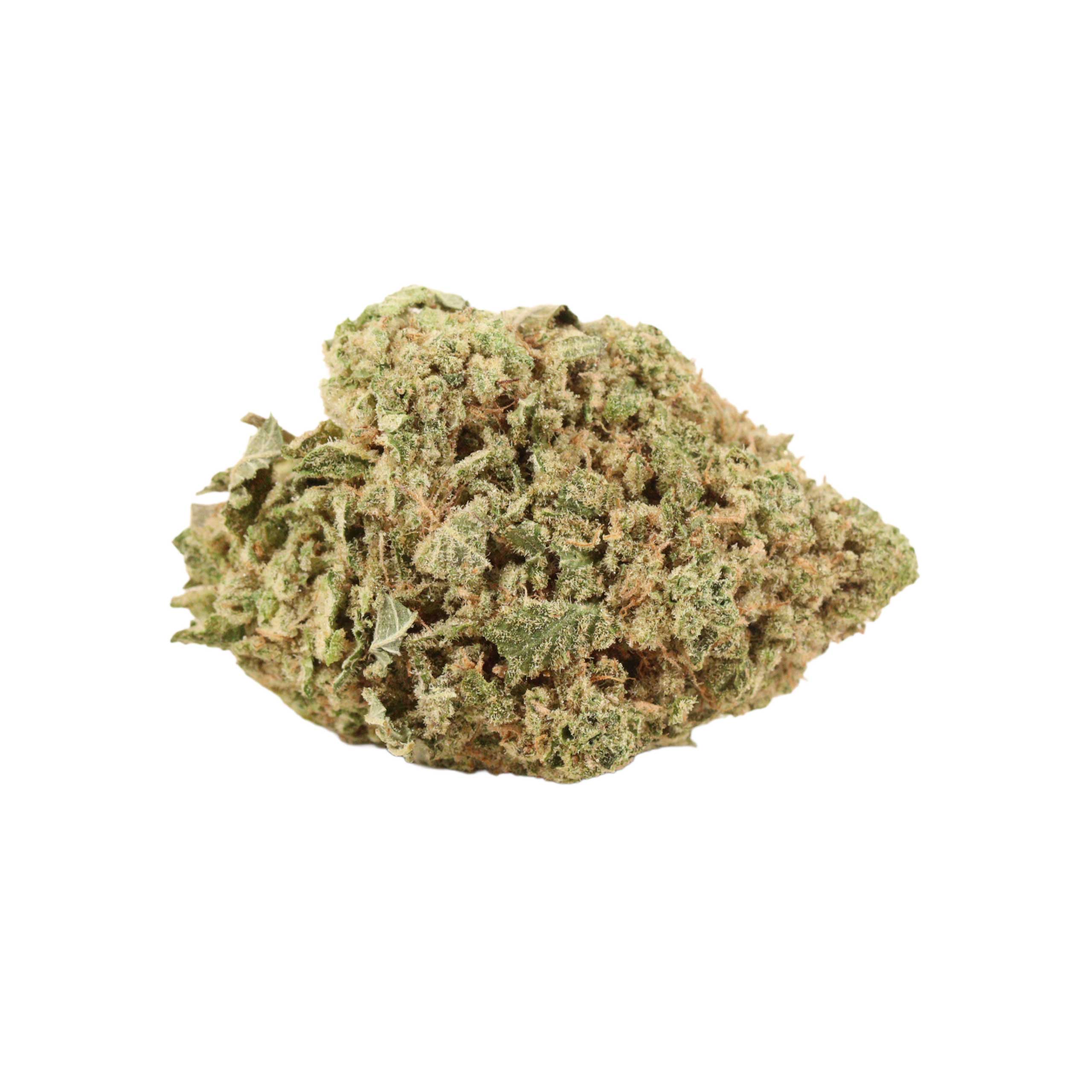 Neon Jesus weed cannabis