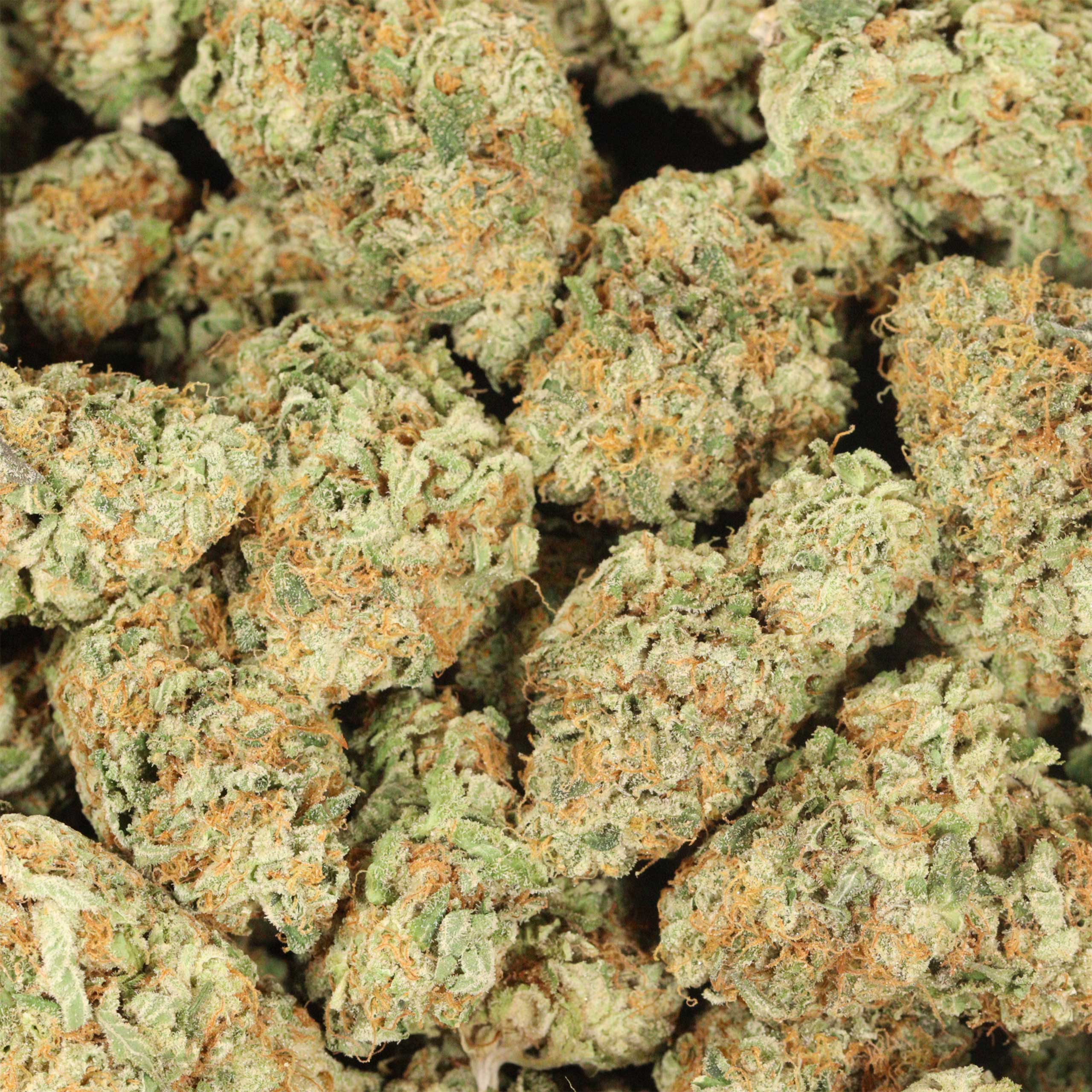 Peaches and Cream cannabis wholesale