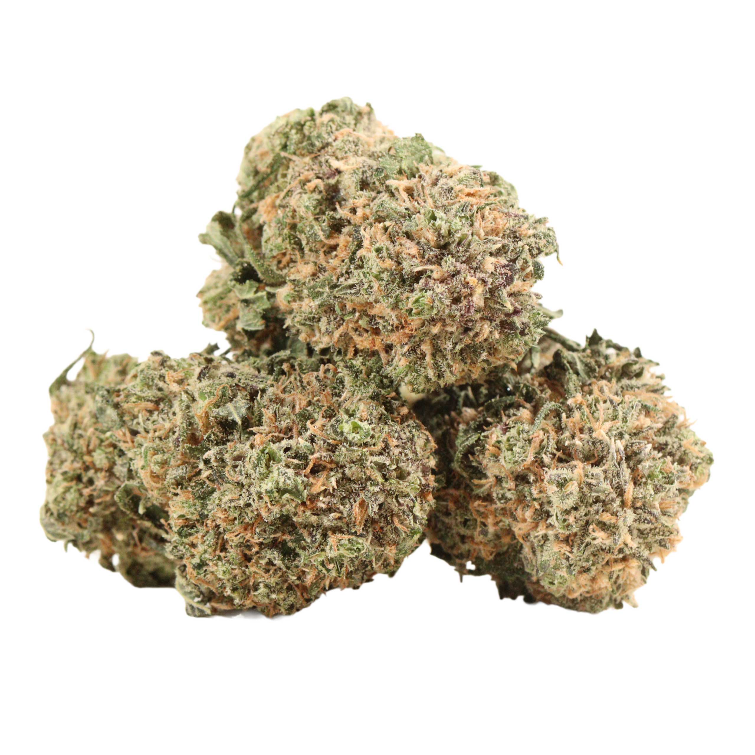 UBC Chemo Kush strain cannabis