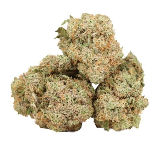 Blue Dream strain cannabis