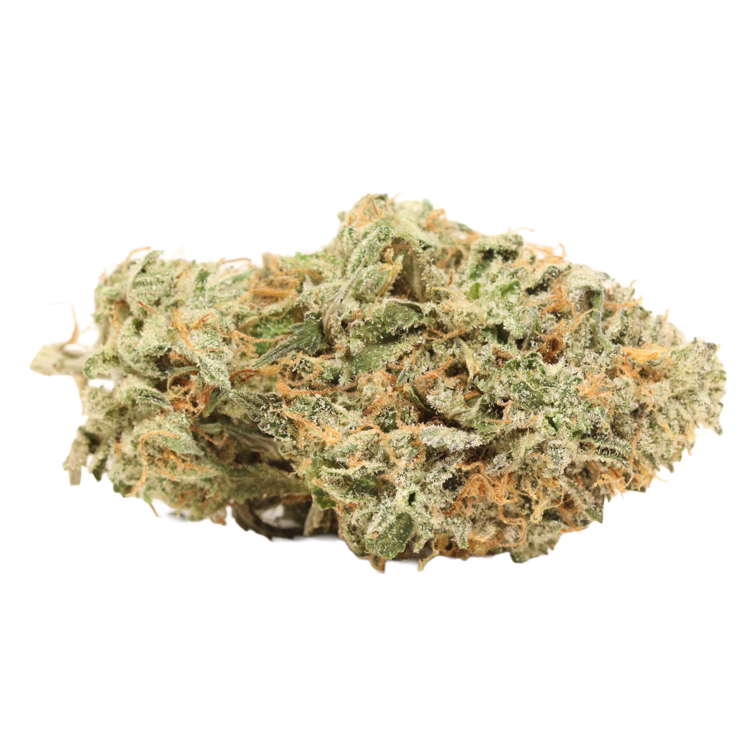 BlueFin Tuna weed cannabis